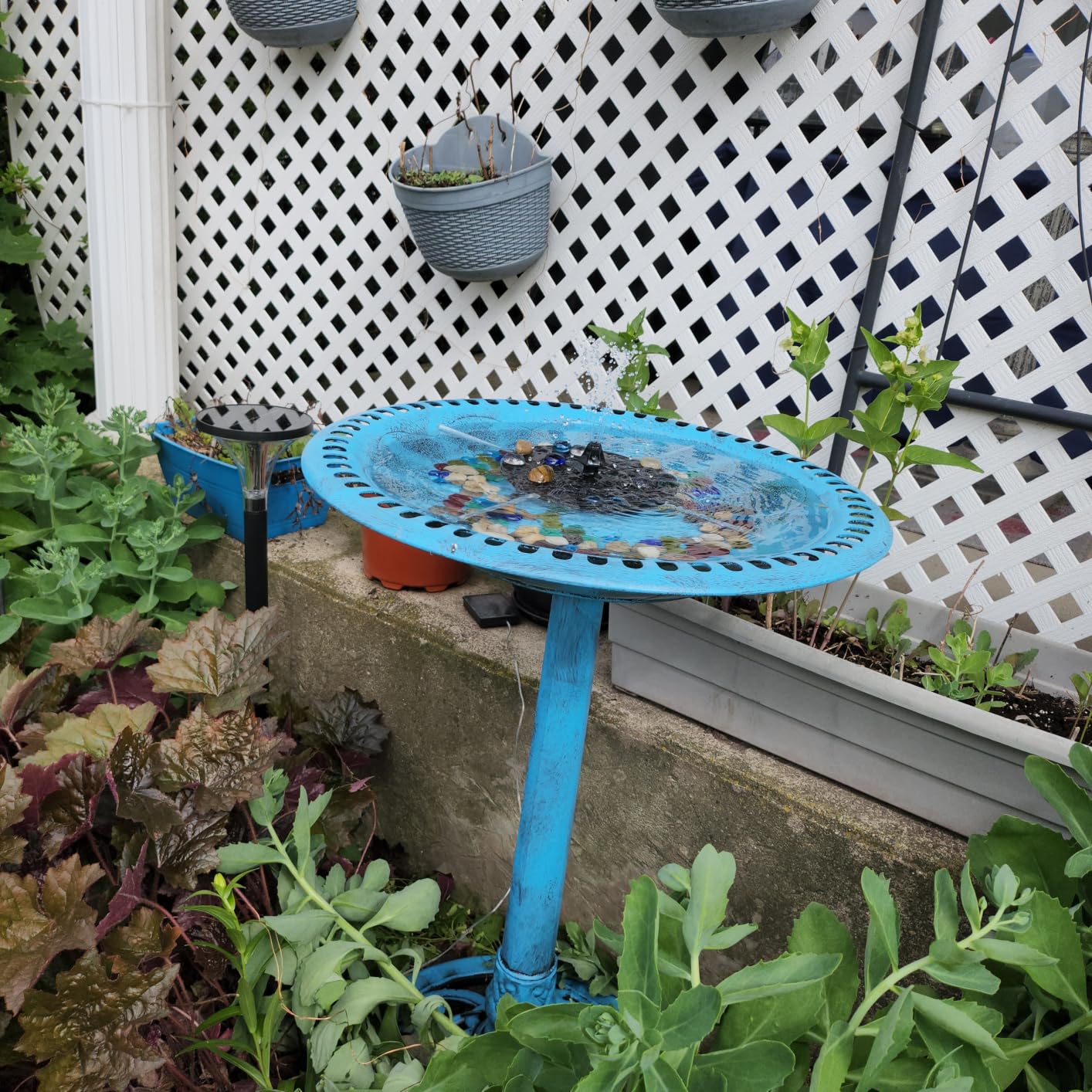 VIVOHOME Bird Bath with Solar Fountain for Outside, Pedestal, Green | Solar-Powered Pump, Weather-Resistant Polyresin, 20-Inch Bowl, for Outdoor/Garden, Bird-Friendly, Easy to Clean customer photo 2
