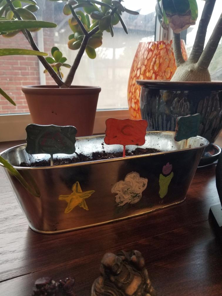 Paint & Plant Flower Growing Kit for Kids - Fun Gardening Kits - Gift Ideas | Birthday Gift Ideas for Girls & Boys Age 5 6 7 8 9 10 11 12 Year Old - Craft Kit for Kids - Art Projects for Ages 5-12 Years customer photo 1