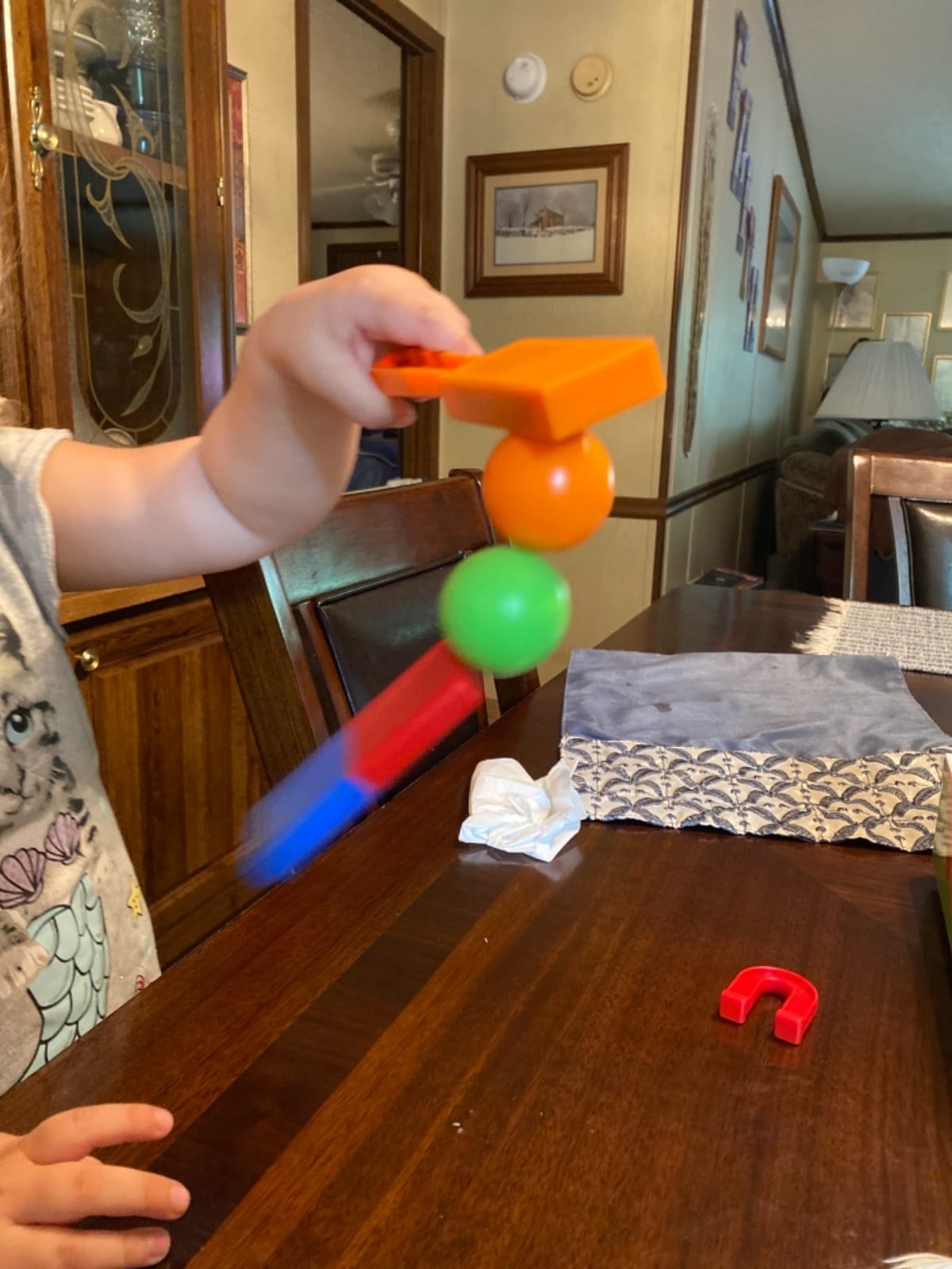 Learning Resources STEM Explorers Magnet Movers customer photo 1
