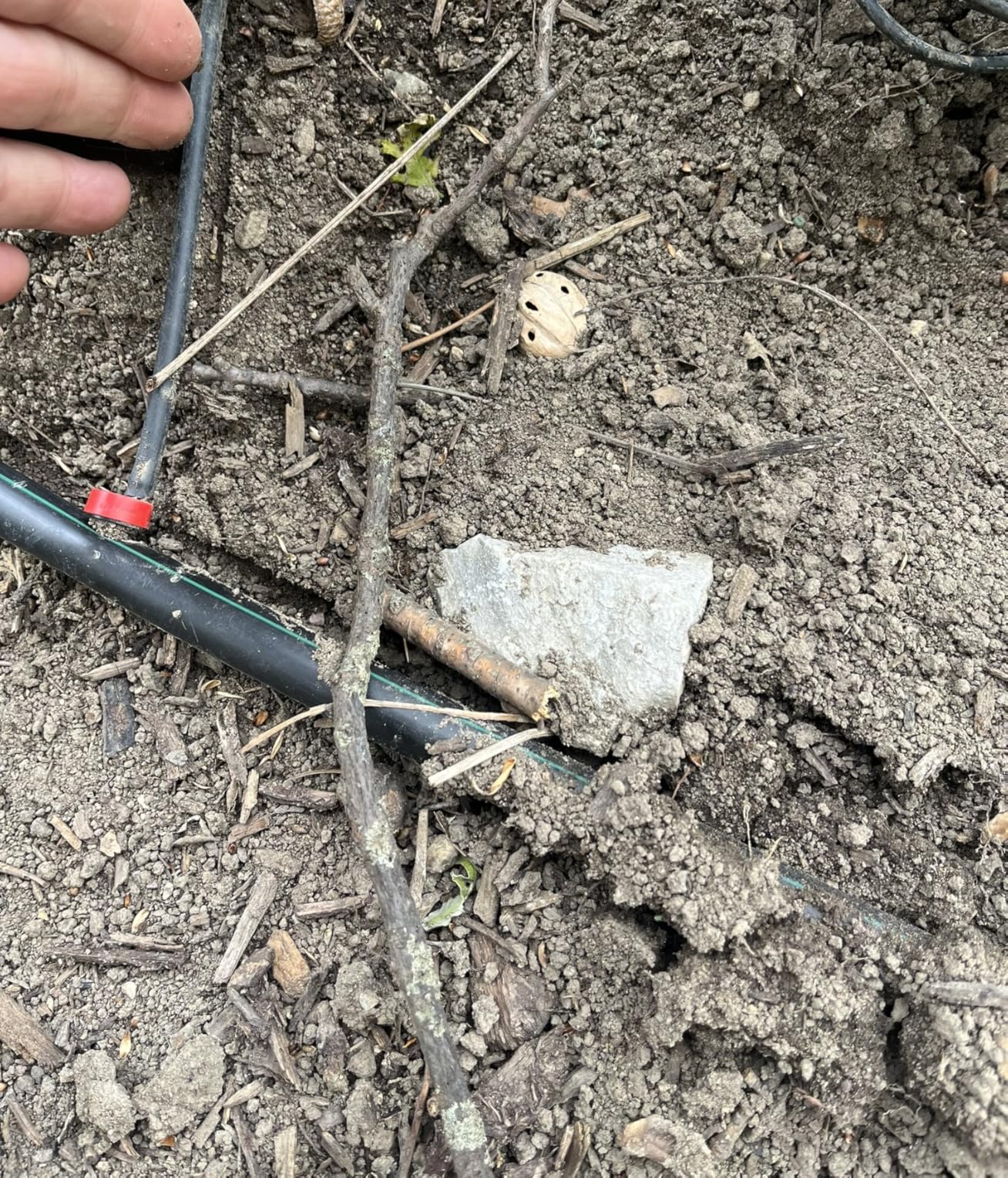 Rain Bird LNDDRIPKIT Drip Irrigation Kit customer photo 2