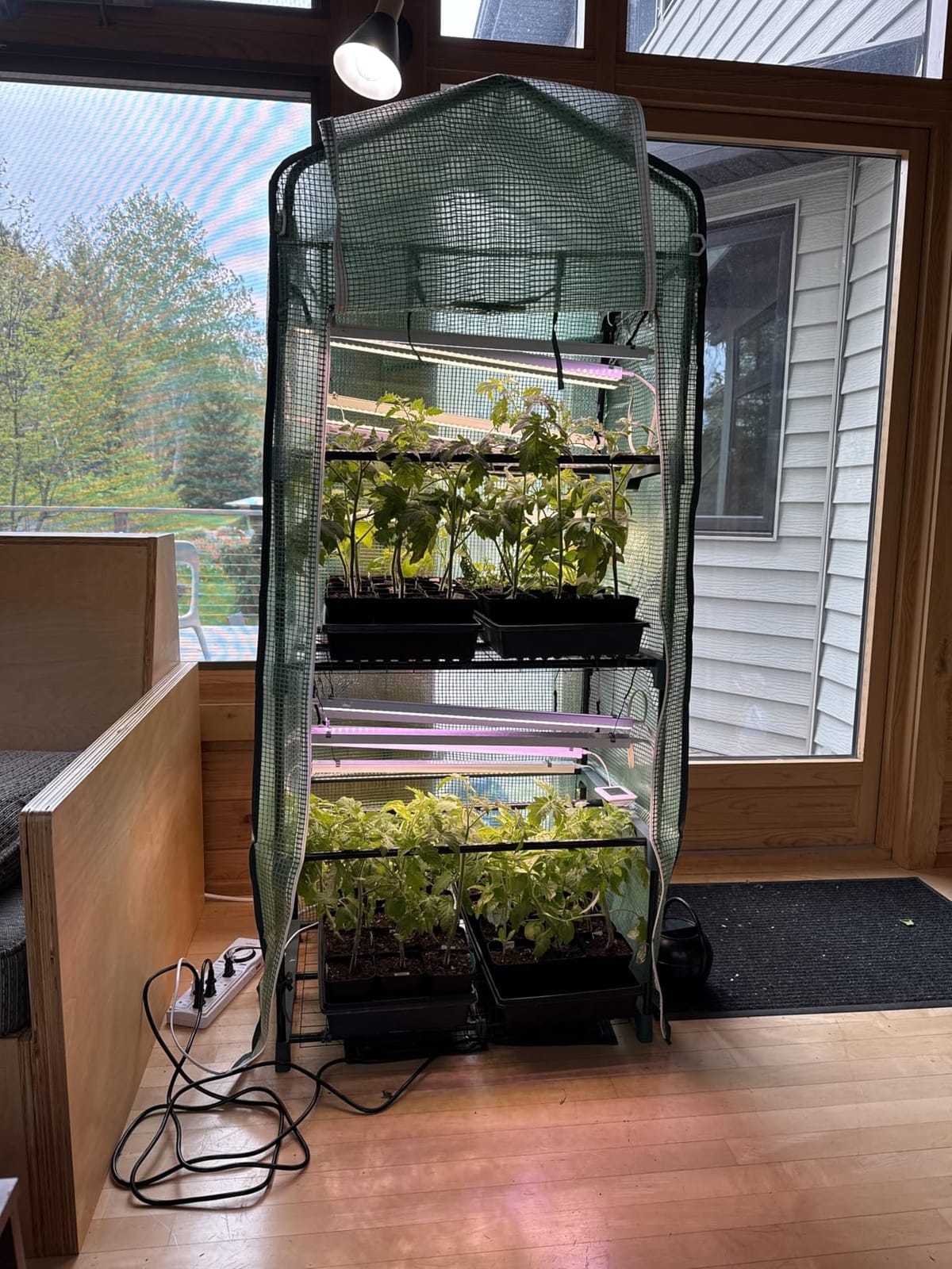 Ohuhu Mini Greenhouse for Indoor Outdoor, 27 x 19 x 62-Inch Small Plant Green House 4-Tier Rack Stand Portable Greenhouses with Durable PE Cover for Seedling customer photo 1