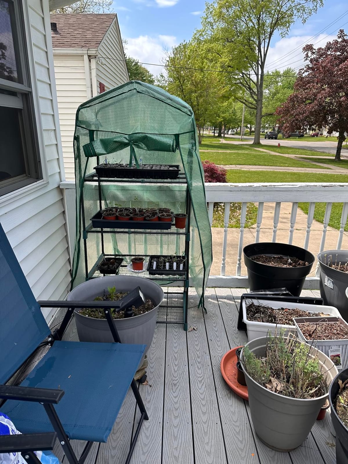 Ohuhu Mini Greenhouse for Indoor Outdoor, 27 x 19 x 62-Inch Small Plant Green House 4-Tier Rack Stand Portable Greenhouses with Durable PE Cover for Seedling customer photo 2