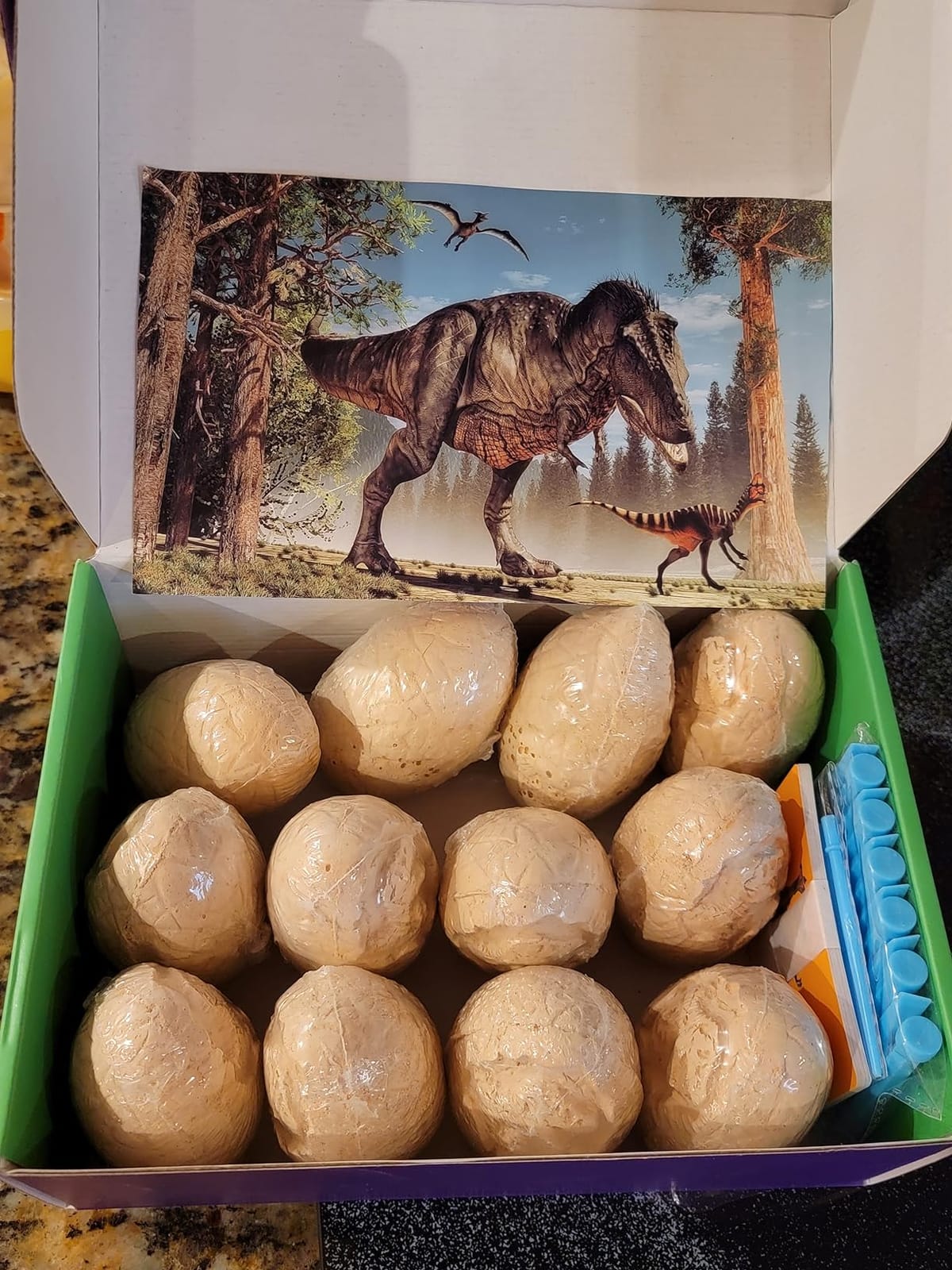 Dig Up Dinosaur Fossil Eggs, Easter Digging Toy for Kids 3-5 6-12 | Break Open 12 Unique Eggs and Discover 12 Cute Dinosaurs, Archaeology Science STEM Gift for 3 4 5 6 7 8 9-12 Year Old Boys customer photo 1