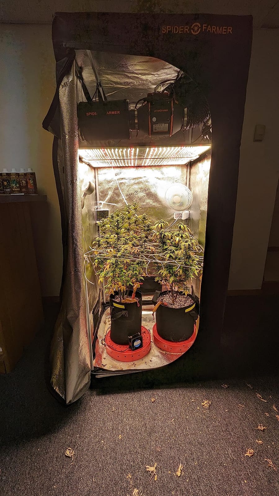 Spider Farmer SF1000 LED Grow Lights for Indoor Plants in 2x2/3x3 Grow Tent | 100W Dimmable Full Spectrum Grow Light, New-Gen High-Efficiency Diodes 2.5 PPE System for Seed Starting, Vegetables & Bloom customer photo 2