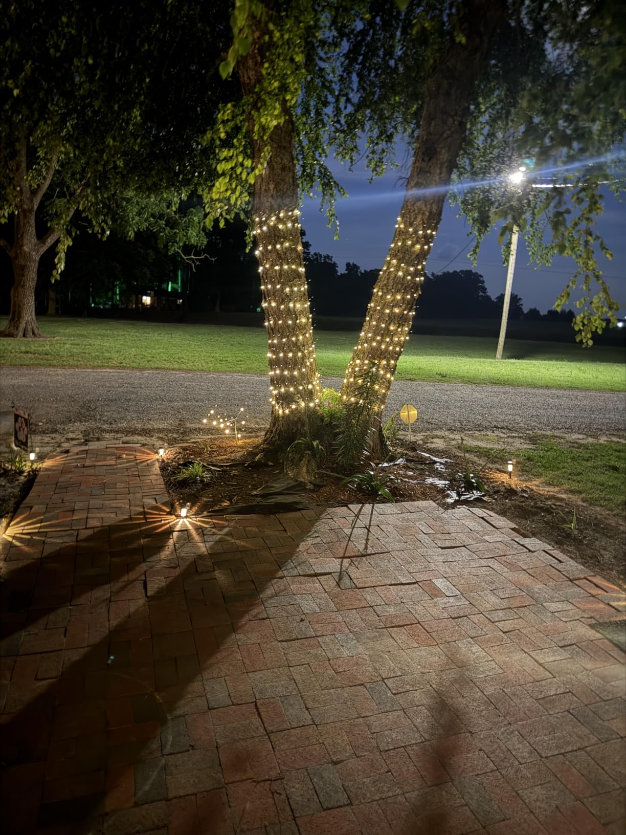 Solar String Lights Outdoor, 2 Pack 400LED 144FT Extra-Long Fairy Lights | 8 Lighting Modes, Copper Wire, Memory Function, Auto On/Off, Waterproof Twinkle Lights for Tree Garden Patio Party Xmas Decor customer photo 2