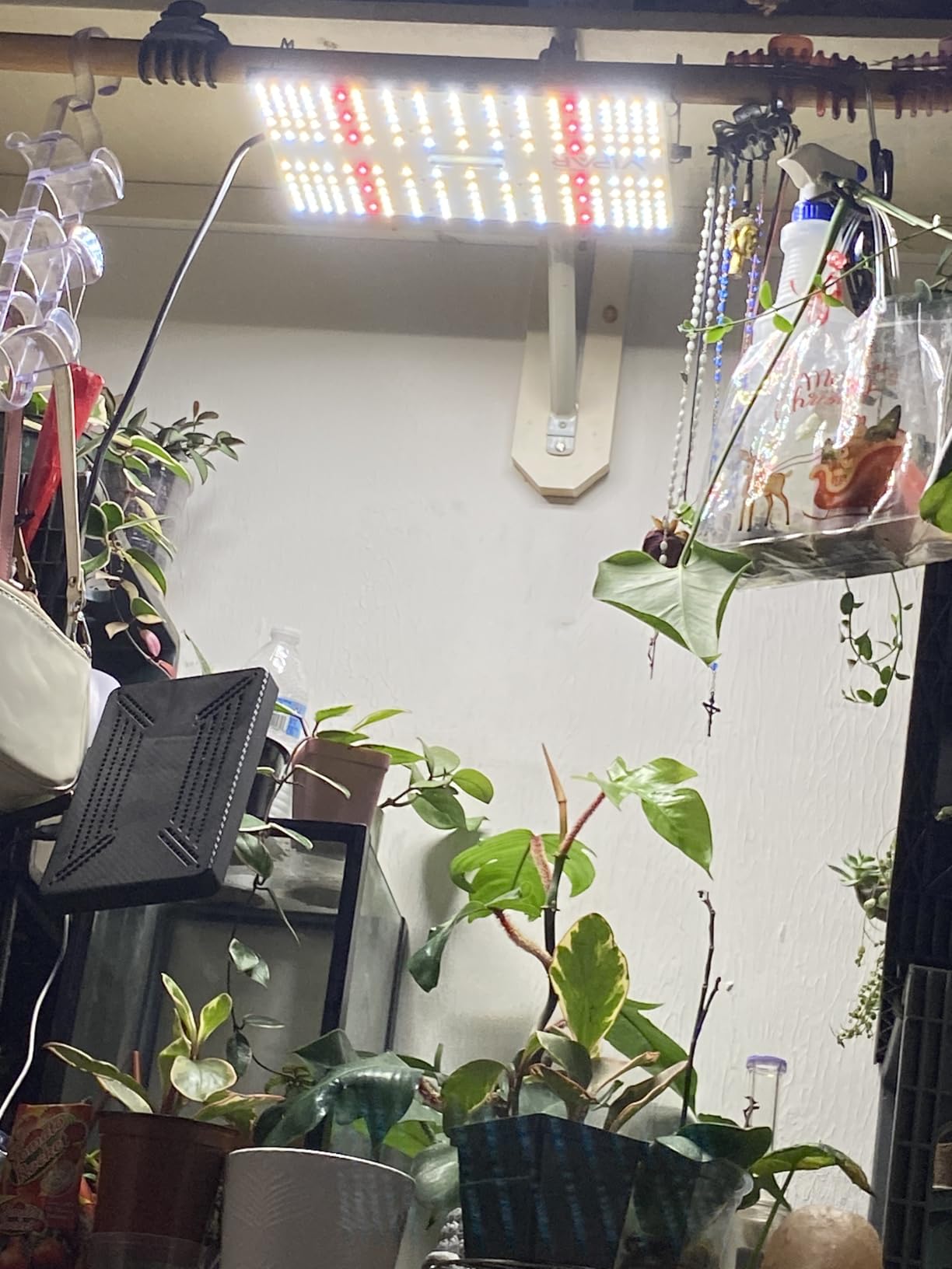250 Watt Plant Lights for Indoor Growing, Full Spectrum LED Grow Lights | VIPARSPECTRA P2000 Dimmable Dimming Daisy Chain Grow Lights for Indoor Plants Seed Starting Veg Bloom in 4x2/3x3 Grow Tent customer photo 1