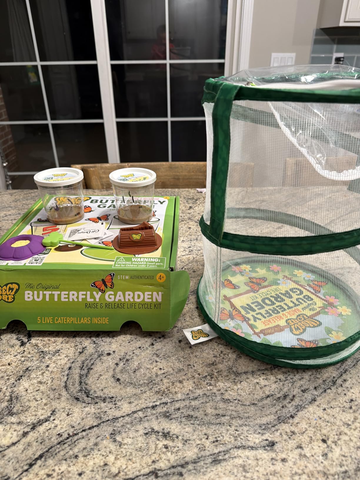 Insect Lore Butterfly Garden with 10 Live Baby Caterpillars - Habitat, Feeder, Chrys-A-Lid Holders, STEM Activity Journal - Raise and Release Painted Lady Butterflies customer photo 2