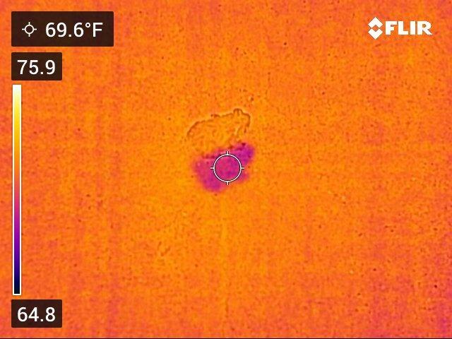 FLIR C5 Compact Thermal Imaging Camera with WiFi, High Resolution Infrared Imager for Inspection, Electrical, Mechanical, Building, and HVAC Applications | -20 to 400C, 5MP visual, LED flashlight, Ignite cloud, pocket, battery, charger, case customer photo 1
