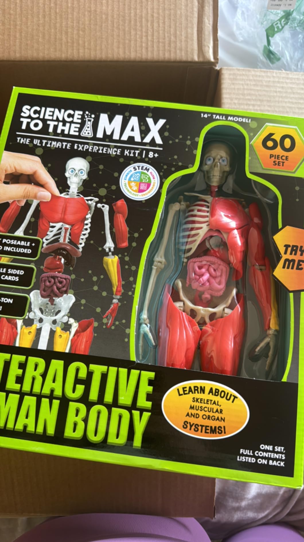 Be Amazing! Toys Interactive Human Body Anatomy Figure, 60 Pieces, Ages 8+ | Fully Poseable, 14