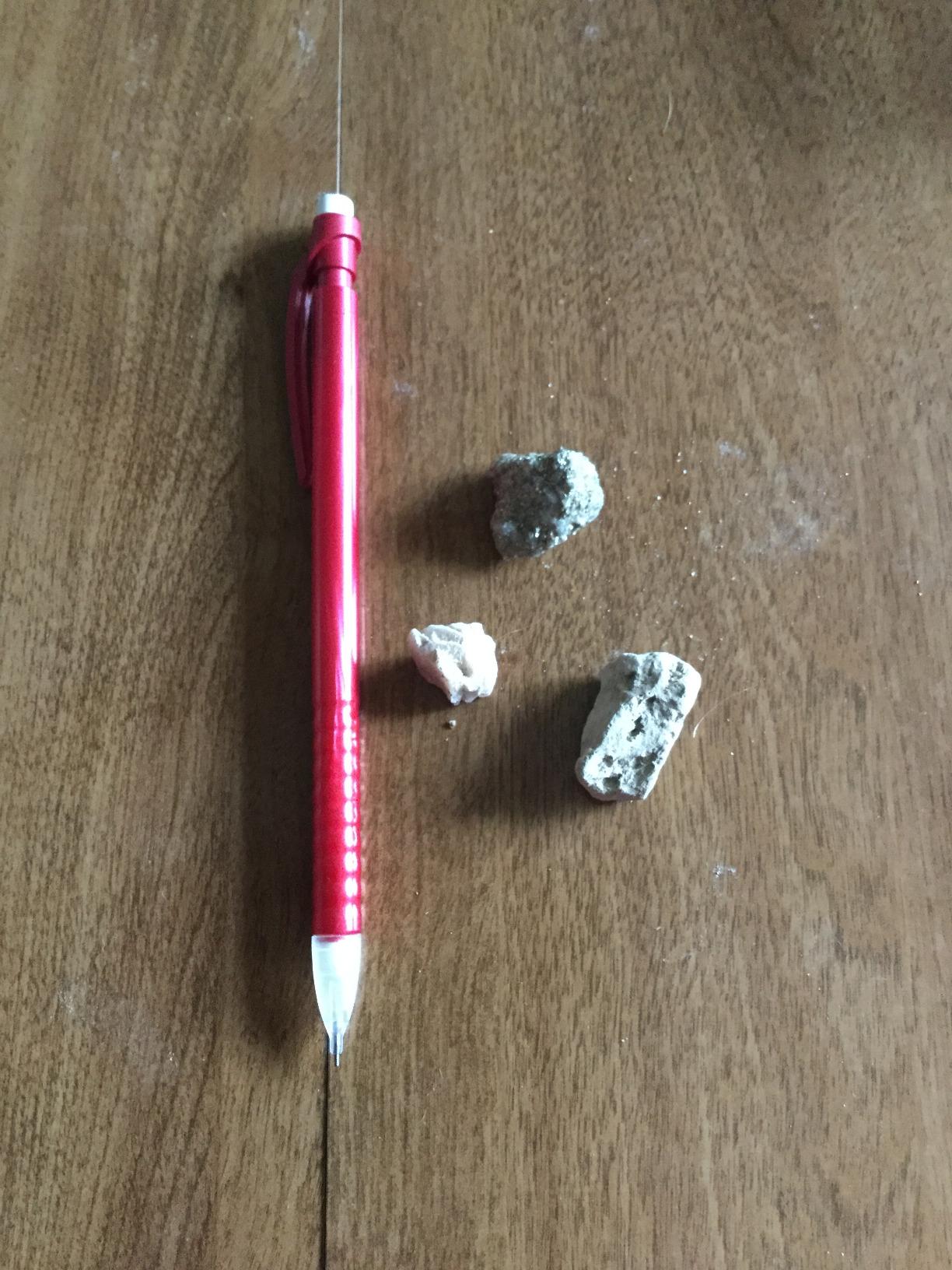 Dan&Darci Rock Collection for Kids - Includes 250+ Bulk Rocks, Gemstones & Crystals + Genuine Fossils and Minerals - 2 Lbs. - Geology Earth Science STEM Toys Activity, Gifts for Boys & Girls Ages 6+ customer photo 2
