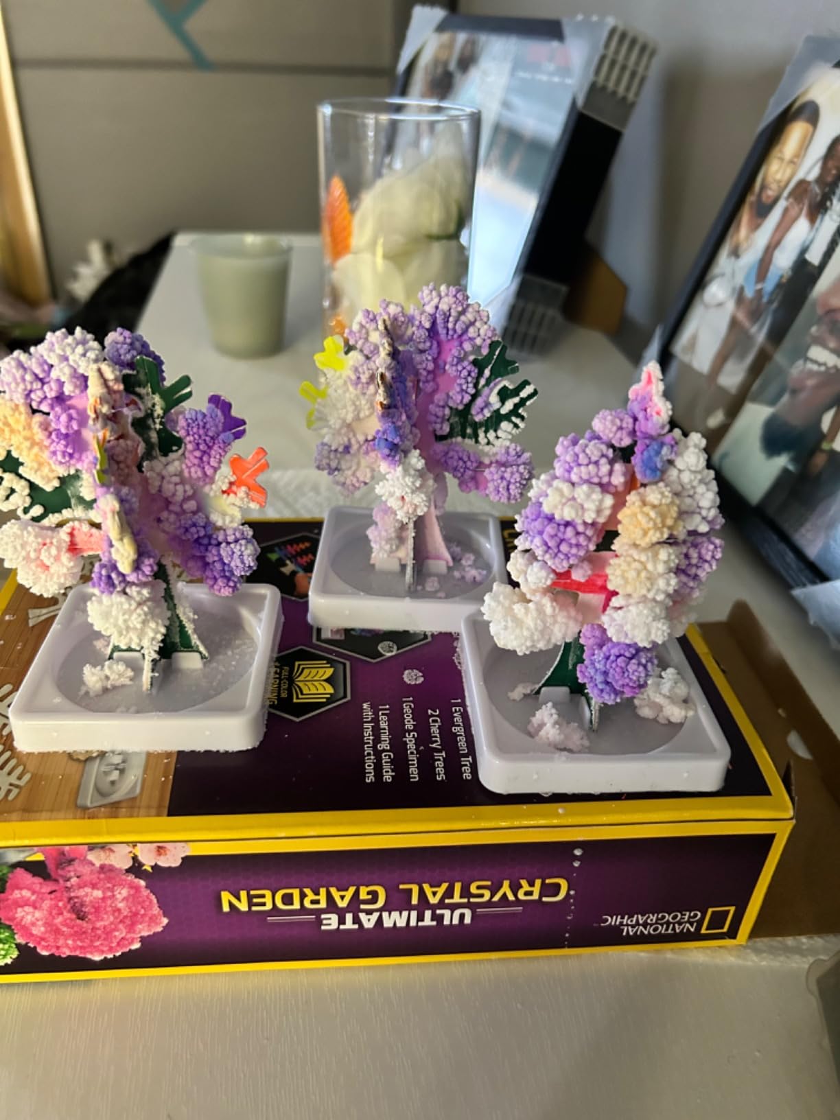National Geographic Craft Kits for Kids - Crystal Growing Kit - Grow a Crystal Garden in Just 6 Hours, Educational Craft Includes Art Project, Geode, STEM Arts and Crafts for Girls (Amazon Exclusive) customer photo 1