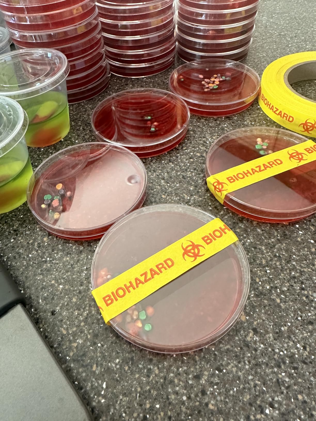 30 Pack 90 x 15mm Plastic Bioresearch Sterile Petri Dishes with Lids | Culture Dishes for School Science Projects, Seeding, Storage, Biological Themed Party customer photo 1