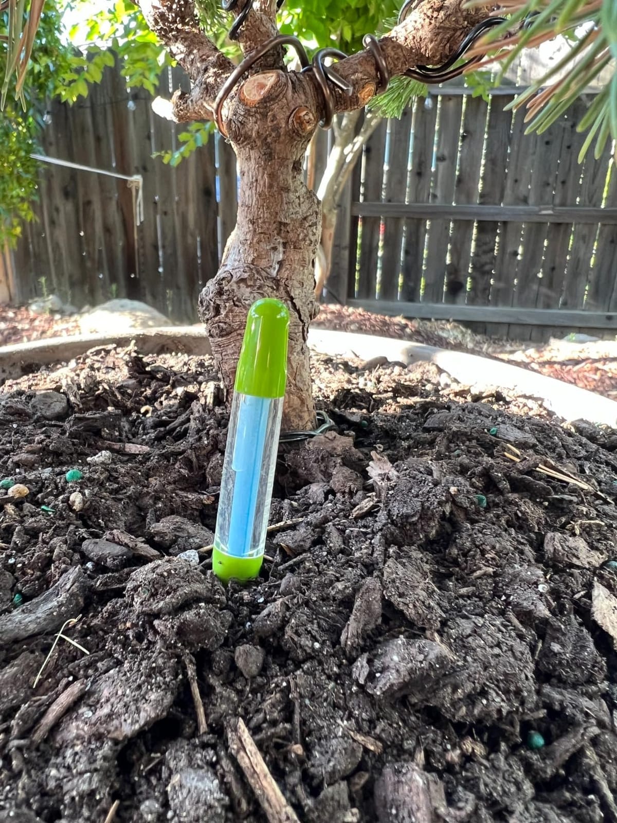 Sustee Aquameter, Set of 5, Plant Soil Moisture Sensor (Green, Small) customer photo 1