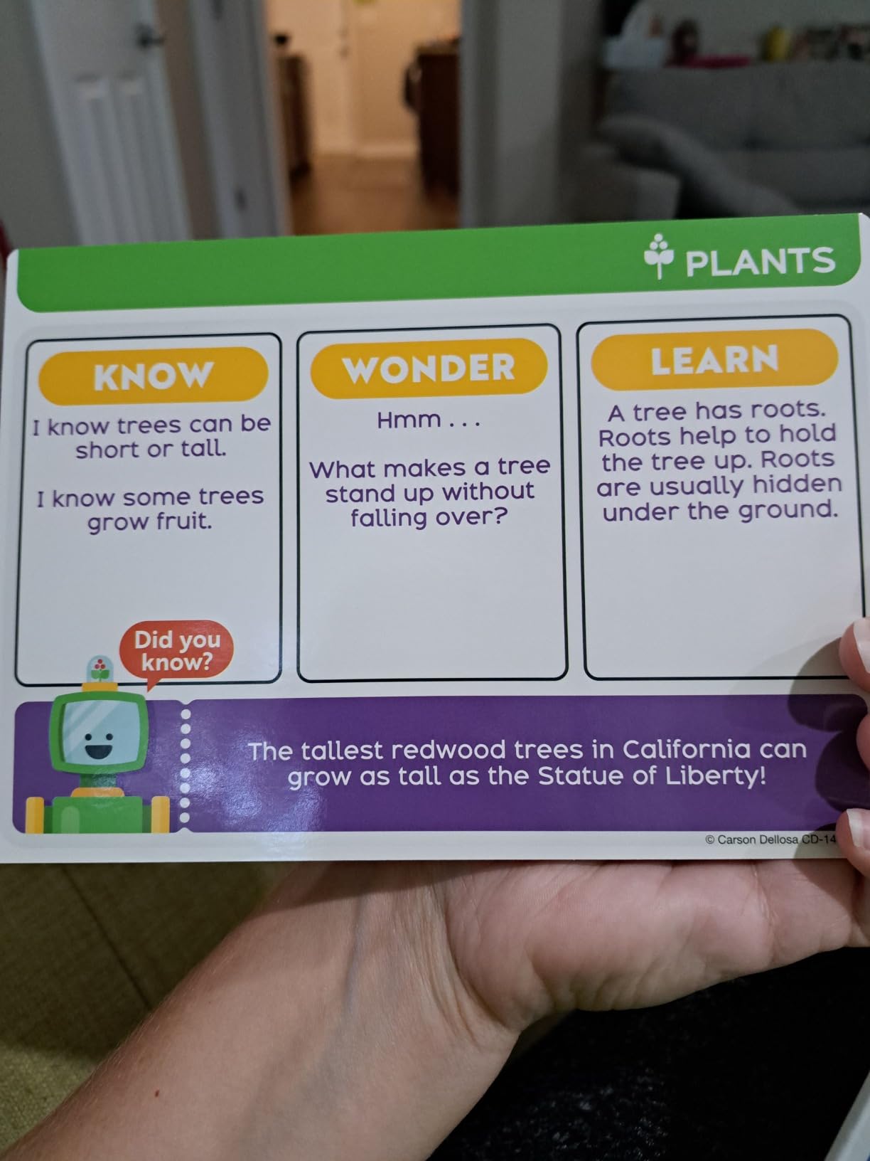 Carson Dellosa STEM Challenges, Hands-On, Science Kits, Ages 4-7 | Insects, and Weather 1st Grade, Kindergarten, and Preschool Learning Activities, Educational Games and Experiments customer photo 2