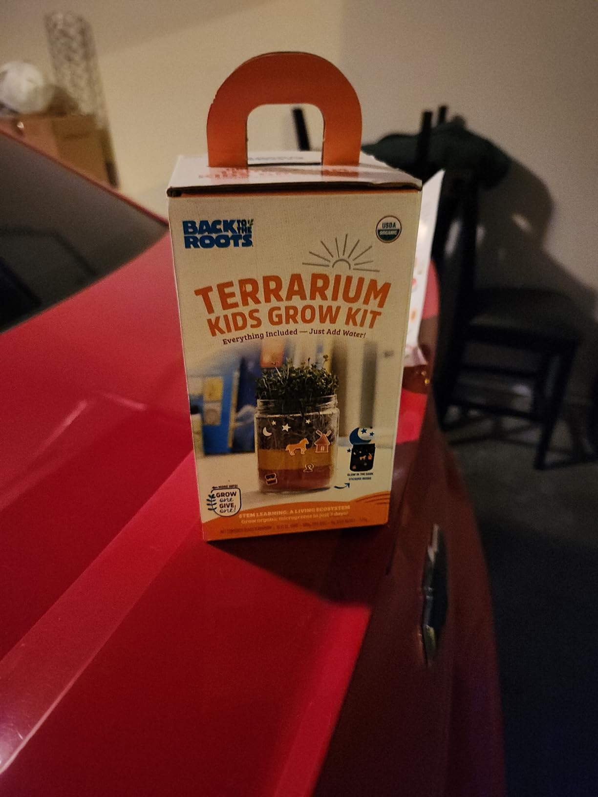 Back to the Roots Terrarium Grow Kit - Easy-to-Use DIY Set for All Ages Small customer photo 2