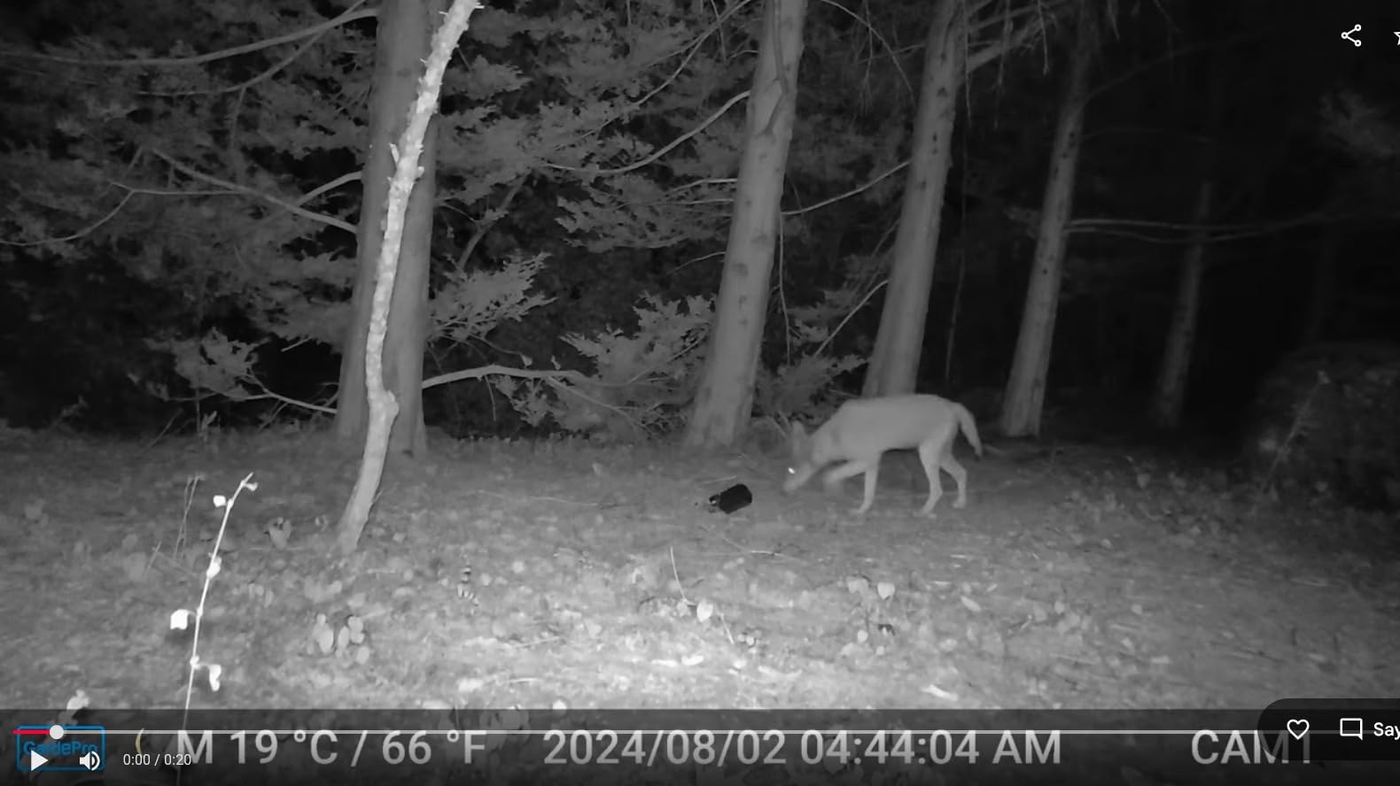 GardePro E6 WiFi Trail Camera, Stable WiFi with External Antenna | On-Site App Viewing, HD Video with Sound, No-Glow Night Vision, Motion Activated, Non-Cellular customer photo 1