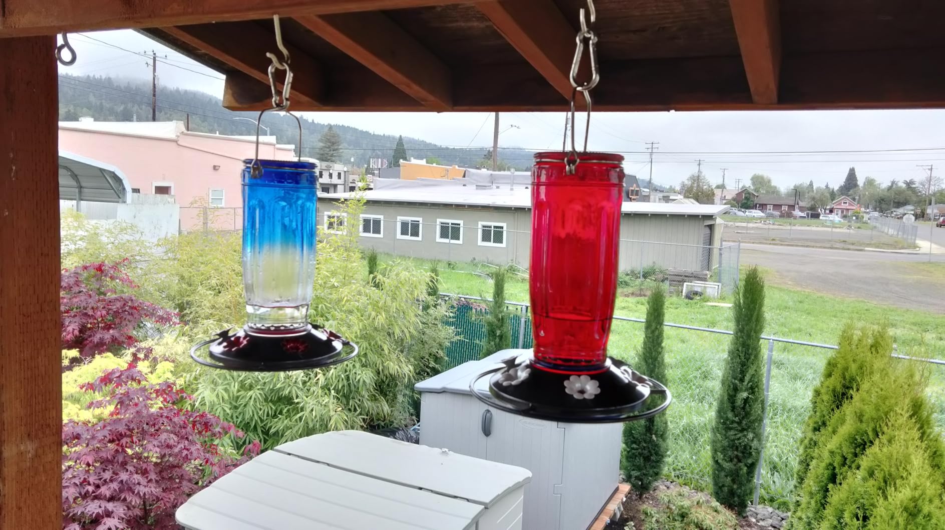 Kingsyard Glass Hummingbird Feeder for Outdoors Wild Bird Feeder with 6 Feeding Ports Hanging for Garden Yard, Red (Ant Moat Included) customer photo 1