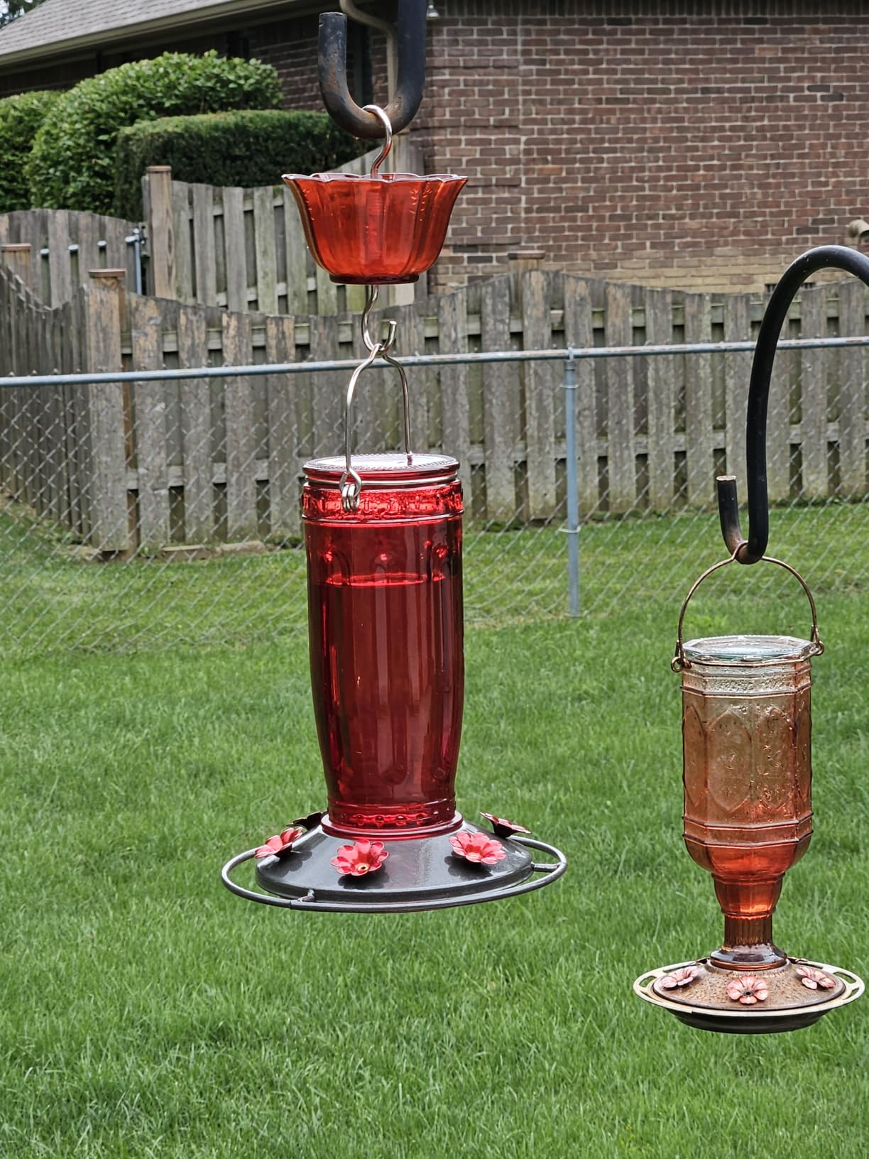 Kingsyard Glass Hummingbird Feeder for Outdoors Wild Bird Feeder with 6 Feeding Ports Hanging for Garden Yard, Red (Ant Moat Included) customer photo 2