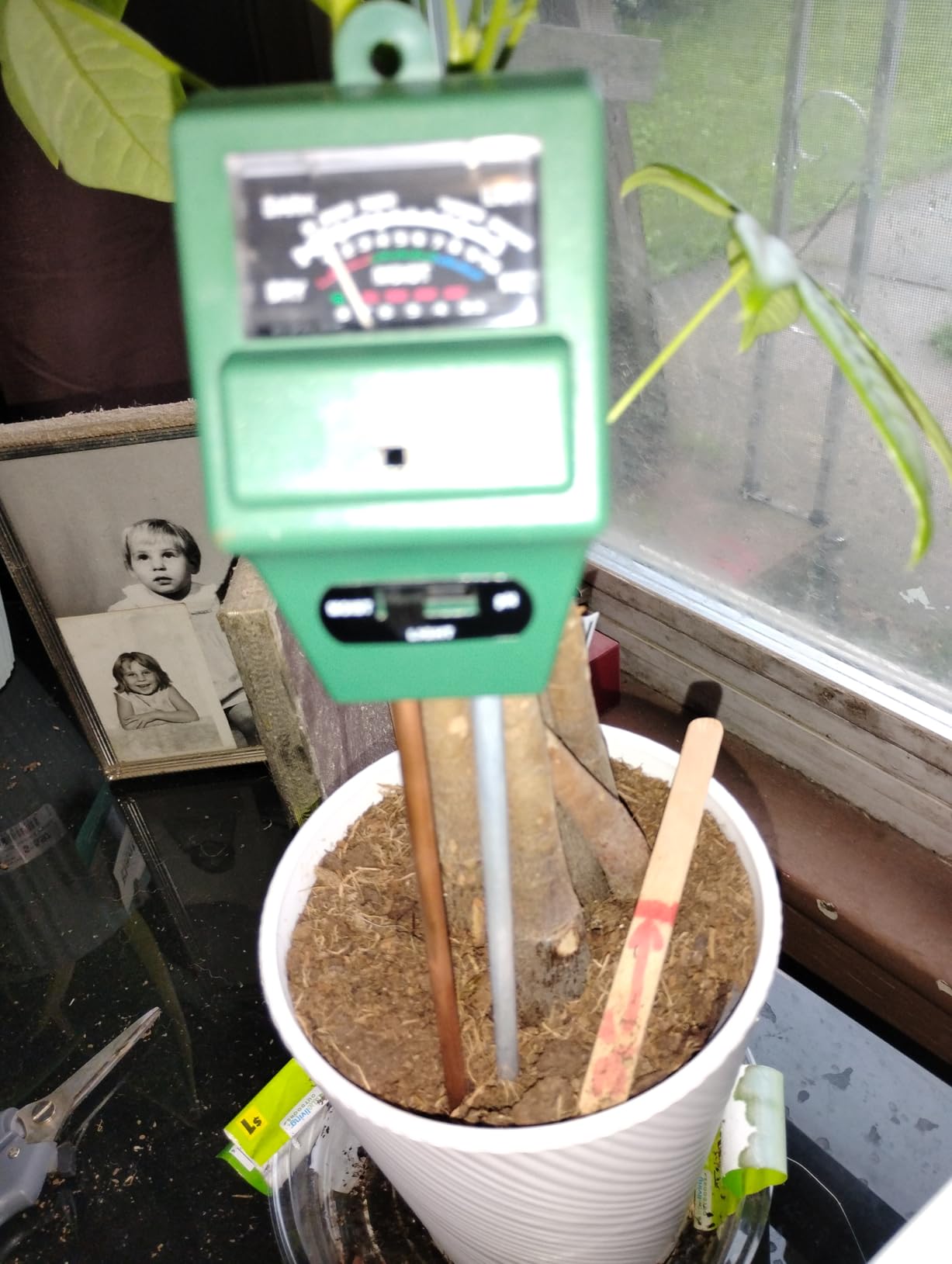 MEASUREMAN 3-in-1 Moisture/Light/pH Soil Tester, Gardening Tool Kits for Plant Care, Suitable for Indoor & Outdoor, Gardens, Lawn, Farms, Greenhouse, No Batteries Required customer photo 1