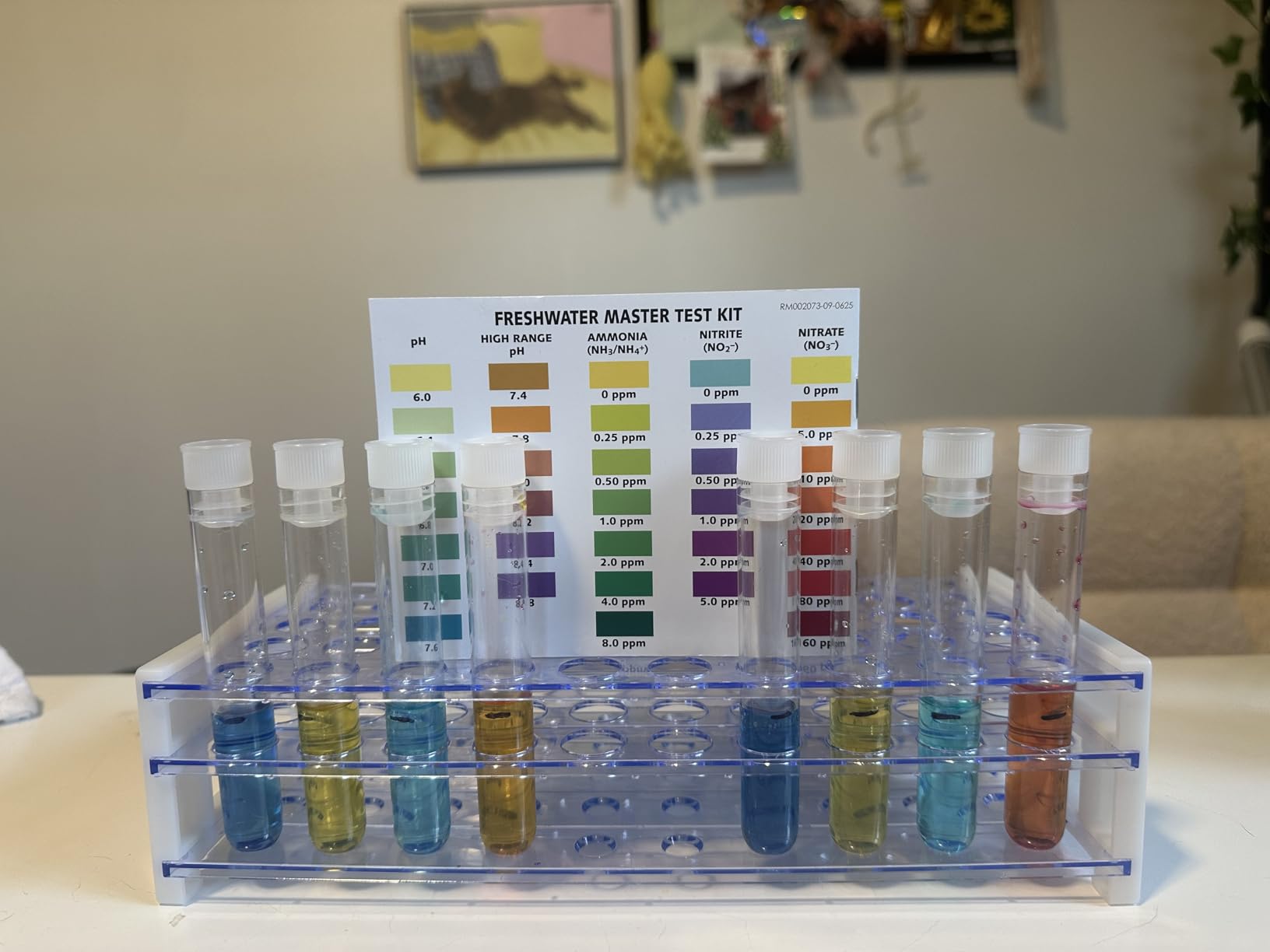 50Pcs 10ml Clear Plastic Test Tubes with Rack,16 x 100mm Tube with Caps and 50 Holes Tubes Rack,Test Tube Set for Scientific Experiments,Candy,Beads,Liquid Storage,Party Decor customer photo 1