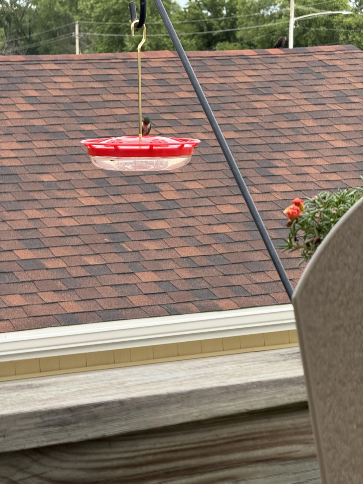 Hummingbird Feeders for Outdoors, 2 Pack 16oz Leak-Proof Dish-Style Nectar Feeder Built-in Ant Moat, 5 Feeding Ports, Wide Mouth Easy Clean, BPA-Free Garden Décor Gifts customer photo 1
