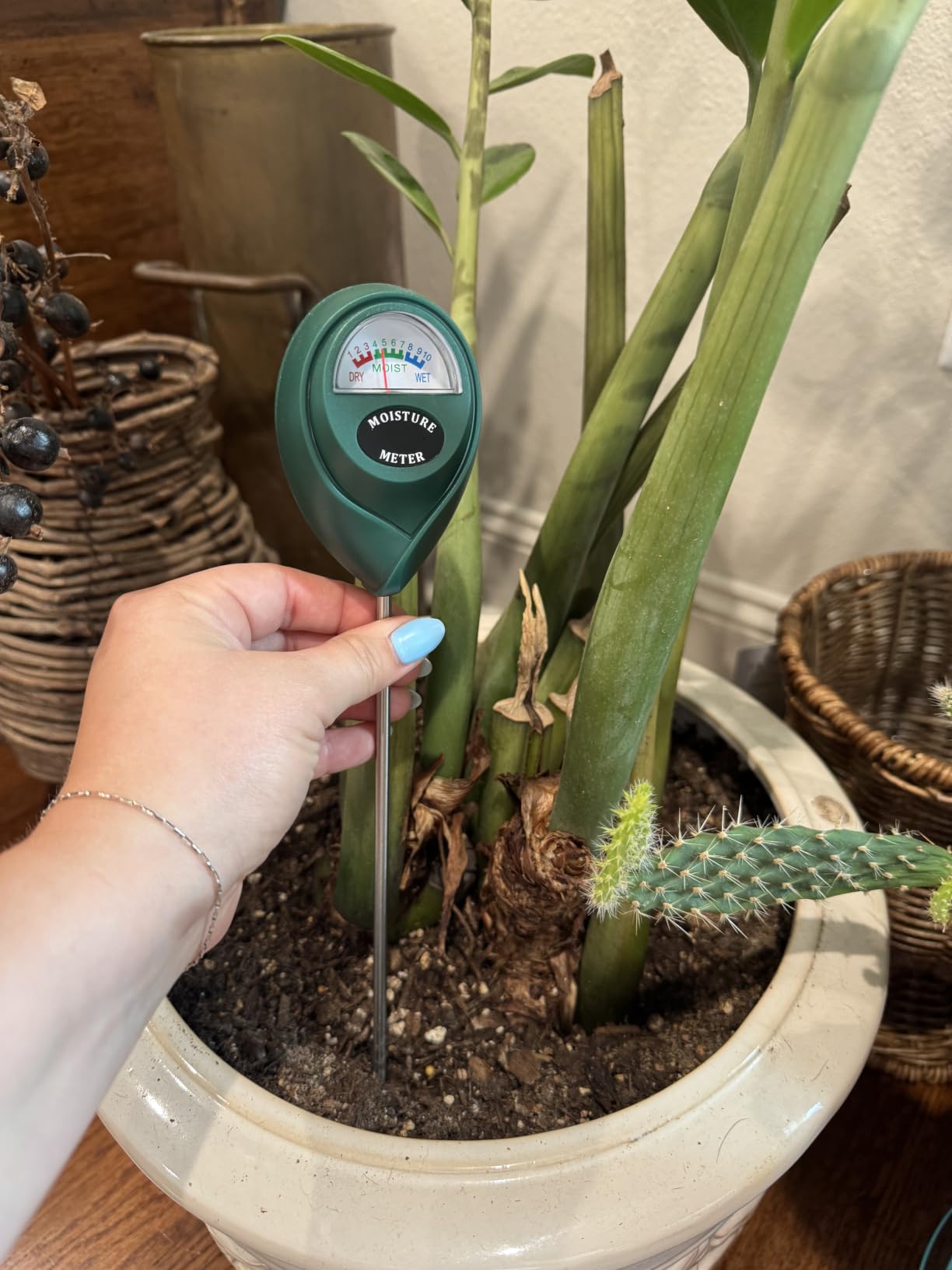 XLUX Long Probe Plant Soil Moisture Meter, Indoor Outdoor use, Battery-Free, longer stem for deeper use, anti-rust 304 SST probe, Easy-to-Read Display, Single-Probe customer photo 2