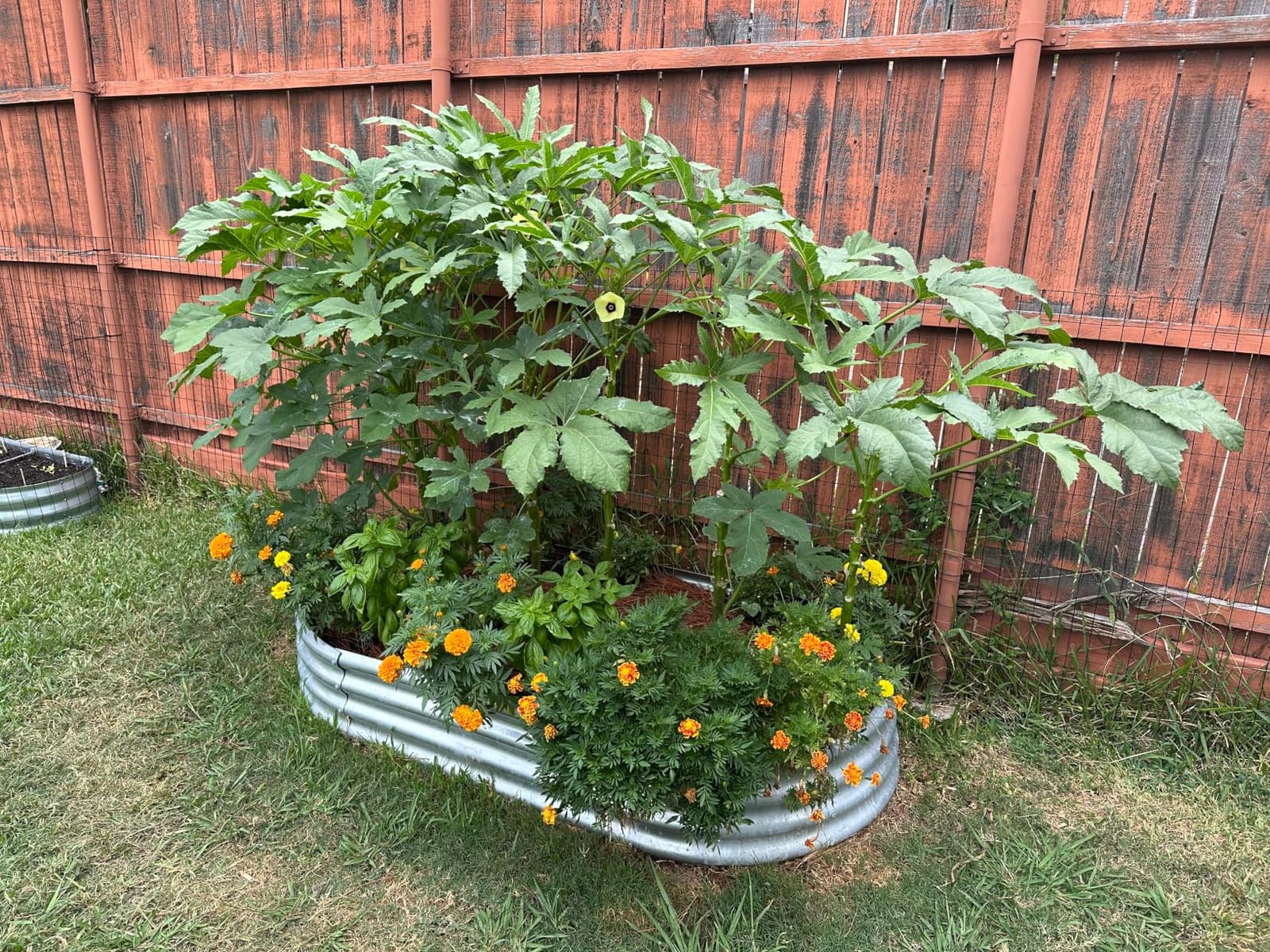 Land Guard Galvanized Raised Garden Bed Kit, Galvanized Planter Garden Boxes Outdoor, Oval Large Metal Raised Garden Beds for Vegetables customer photo 2