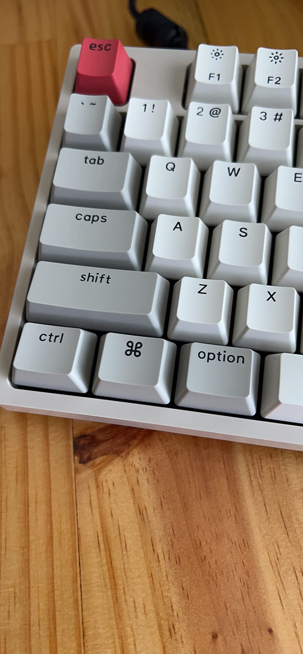 Keychron C2 Full Size Wired Mechanical Keyboard, Brown Switch, Retro | ABS keycaps, USB-C connection, Ergonomic support, Non-backlit design, Compatible with Mac Windows customer photo 2