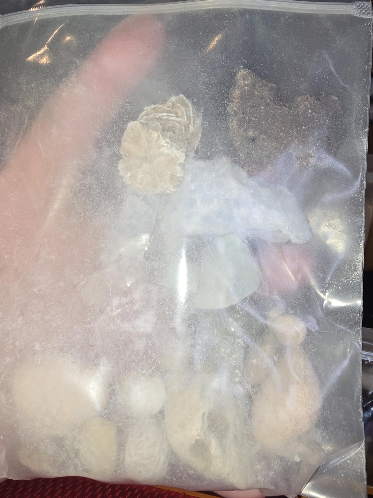 National Geographic Rock Collection Box & Rocks and Minerals Expert Book | Real Gemstones, Crystals & Minerals, Absolute Expert Book, Geology Learning, Rock Collection, Storage Box, Birthday Gift customer photo 2