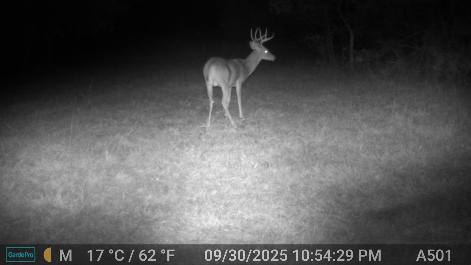 GardePro E5S Trail Camera, 64MP Photo & 1296P HD Video | 0.1s Trigger, 100ft No-Glow Night Vision, Motion Activated, Non-Cellular, Non-WiFi customer photo 2
