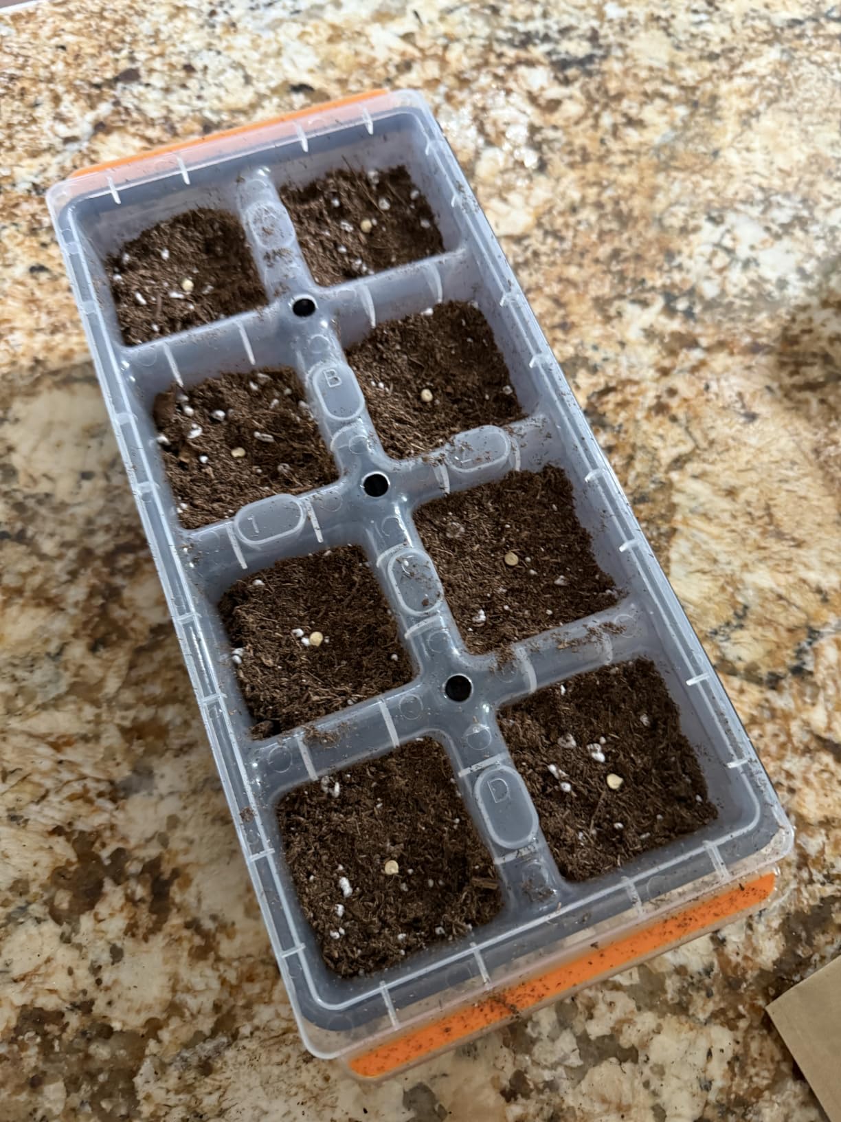 Burpee SuperSeed Seed Starting Tray | 36 Cell Reusable Seed Starter Tray | for Starting Vegetable, Flower & Herb Seeds | Indoor Grow Kit for Plant Seedlings | for Germination Success customer photo 1