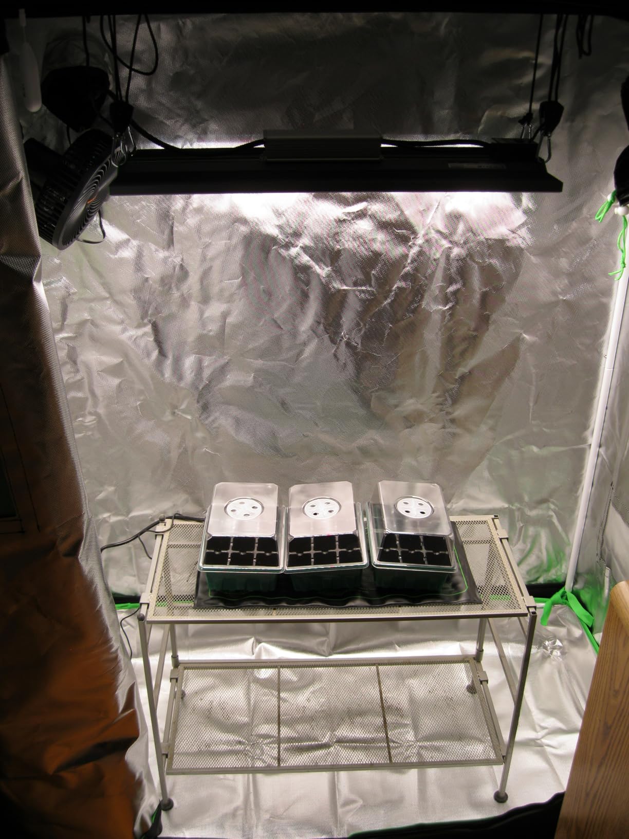 3x3 Grow Tent, 36