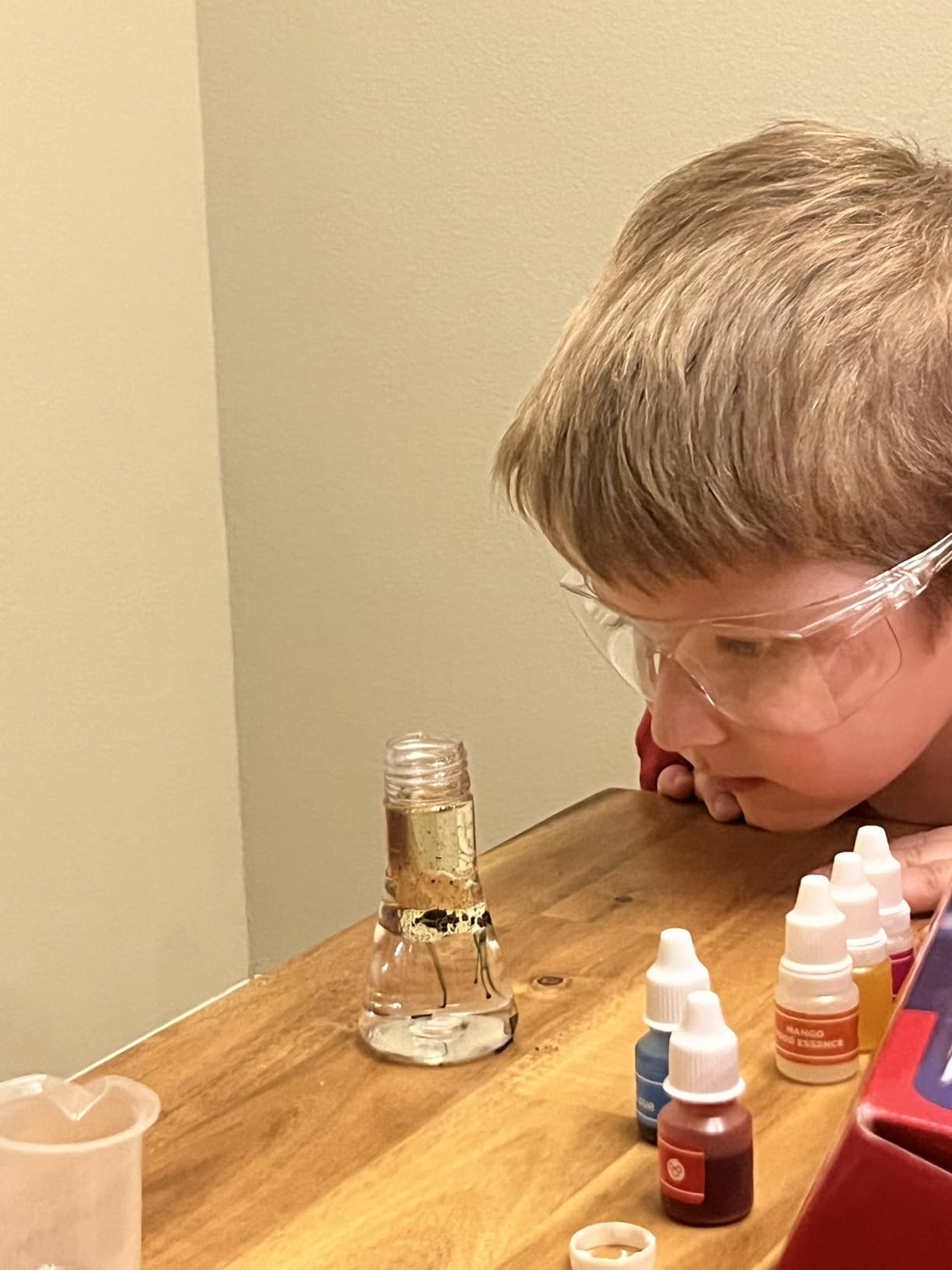 Doctor Jupiter My First Science Kit for Kids Ages 4-5-6-7-8 | Birthday Gift Ideas for 4+ Year Old Boys & Girls | Toy Stem Kit with 100+ Experiments | Learning & Educational Projects customer photo 1
