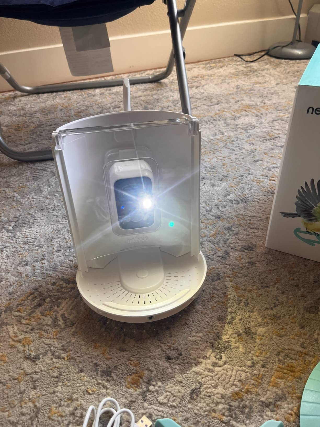 NETVUE by Birdfy Smart Bird Feeder with 2K AI Camera, Value for Beginners | Accurate AI Bird ID, Auto Records & Smart Notification, Free Cloud Storage, Easy Setup & App, Work with Alexa customer photo 1