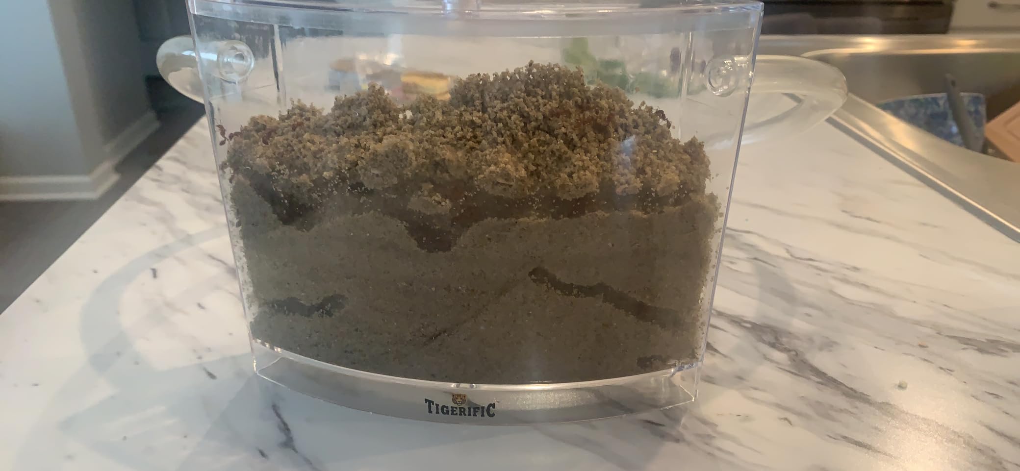 Ant Farm for Live Ants - Real Sand Ant Colony Kit for Kids -Fun Science Habitat Set for Children, Watch Ants Dig Tunnels, Carry Sand, Hide and Drag Their Food customer photo 1