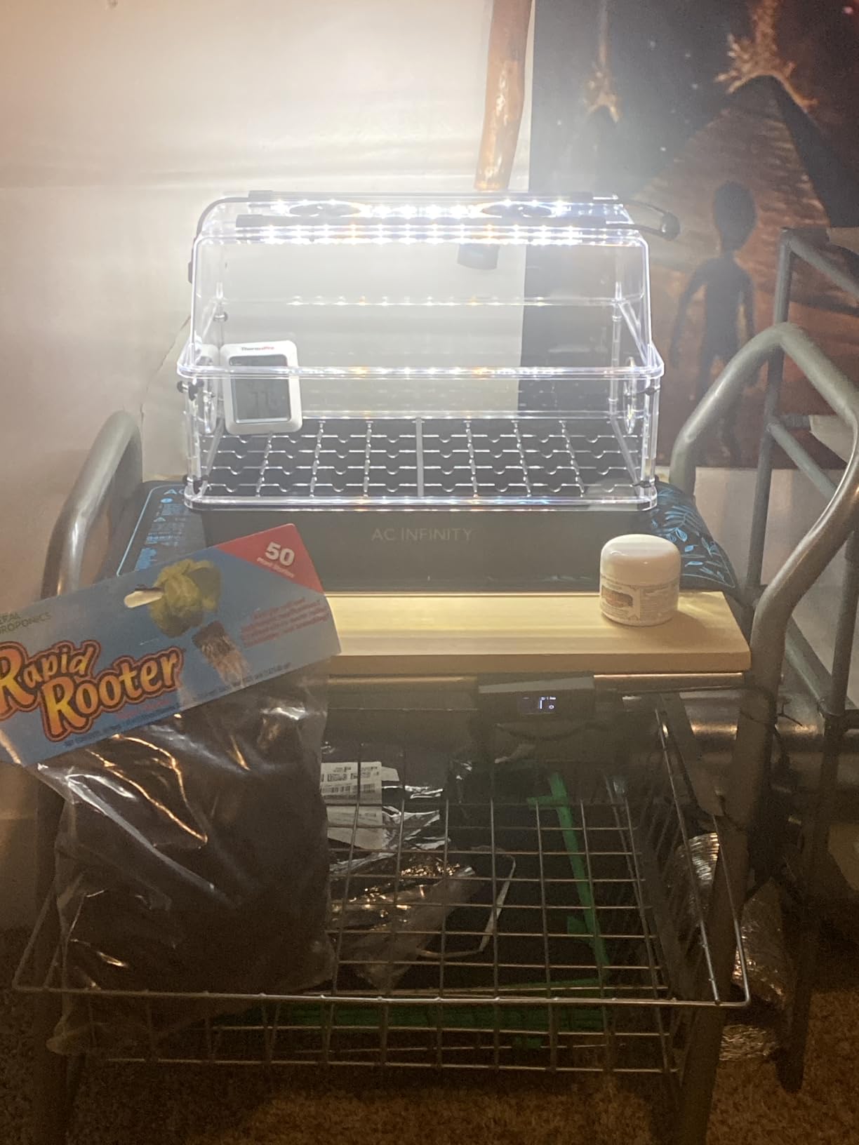 AC Infinity Heavy-Duty Humidity Dome 5x8 Germination Kit with Waterproof Seedling Mat, Full Spectrum LED Grow Light Bars customer photo 2