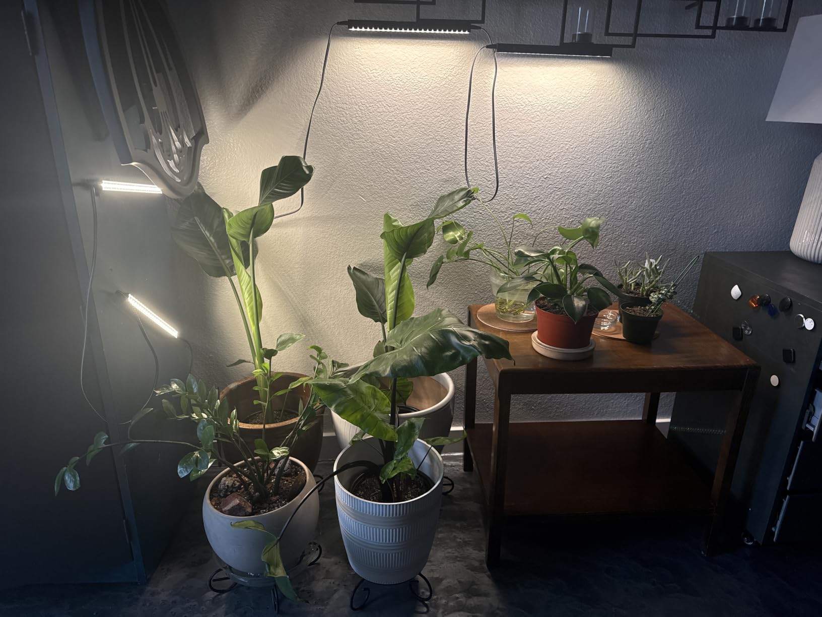 Barrina T5 Grow Lights for Indoor Plants, 5000K Full Spectrum, 1FT, 4 Packs | 1FT LED Growing Lamp, Plant Light Strip for Seed Starting, Vegetables and Greens, Plug and Play, Linkable customer photo 2