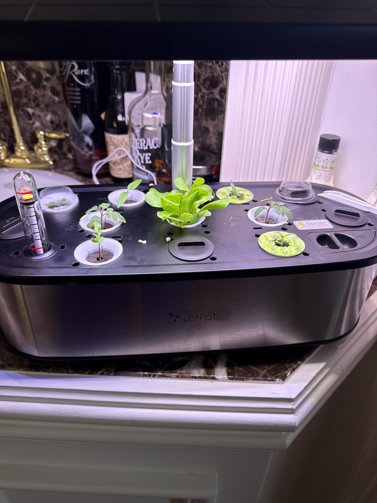 LETPOT LPH-SE Hydroponics Growing System, 12 Pods Smart Herb Garden Kit Indoor, APP & WiFi Controlled, with 24W Growing LED, 5.5L Water Tank, Pump System, Automatic Timer customer photo 2