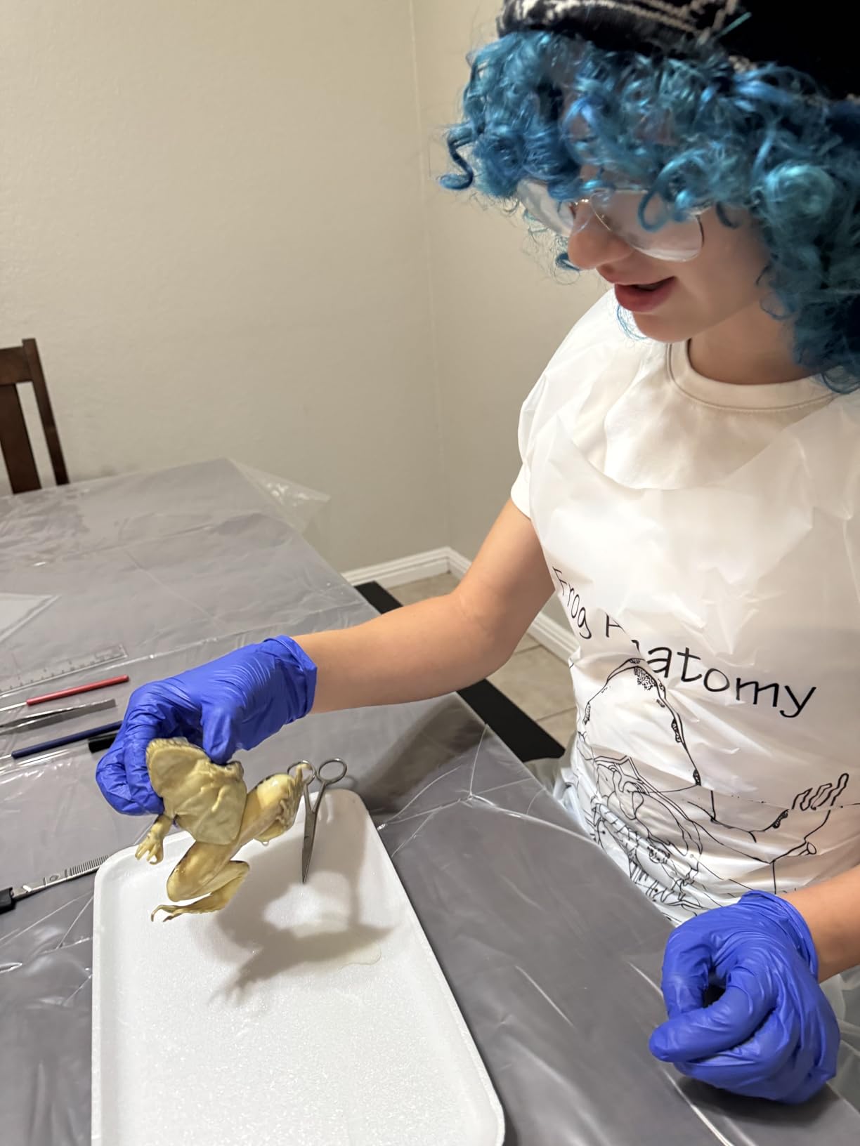 Frog Dissection Kit with Scalpel Dissection Guide | Dissection Specimen for Biology College Anatomy customer photo 1