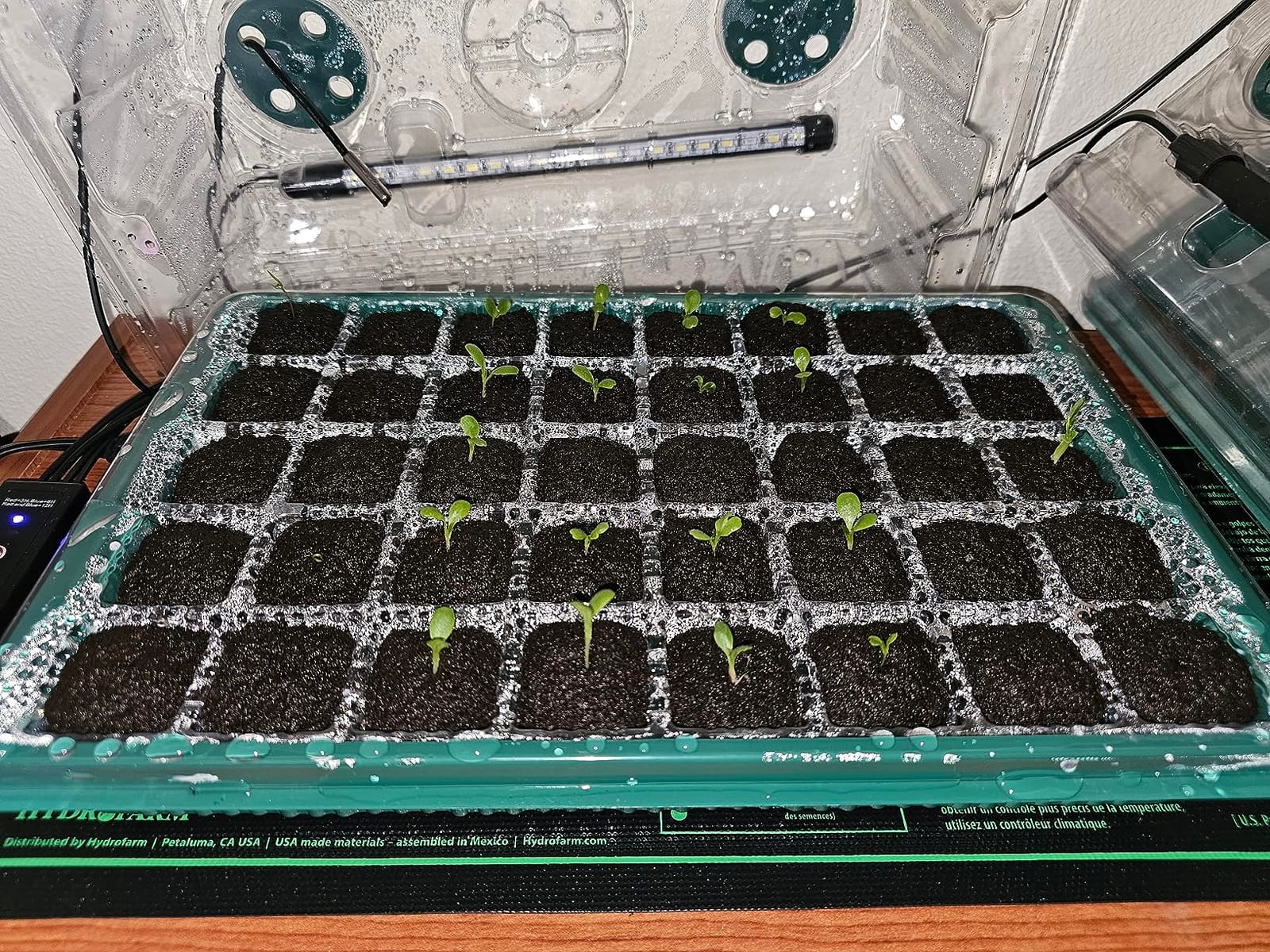 BlumWay Seed Starter Tray with Grow Light, Humidity Dome, 2 Pack 80 Cells customer photo 2