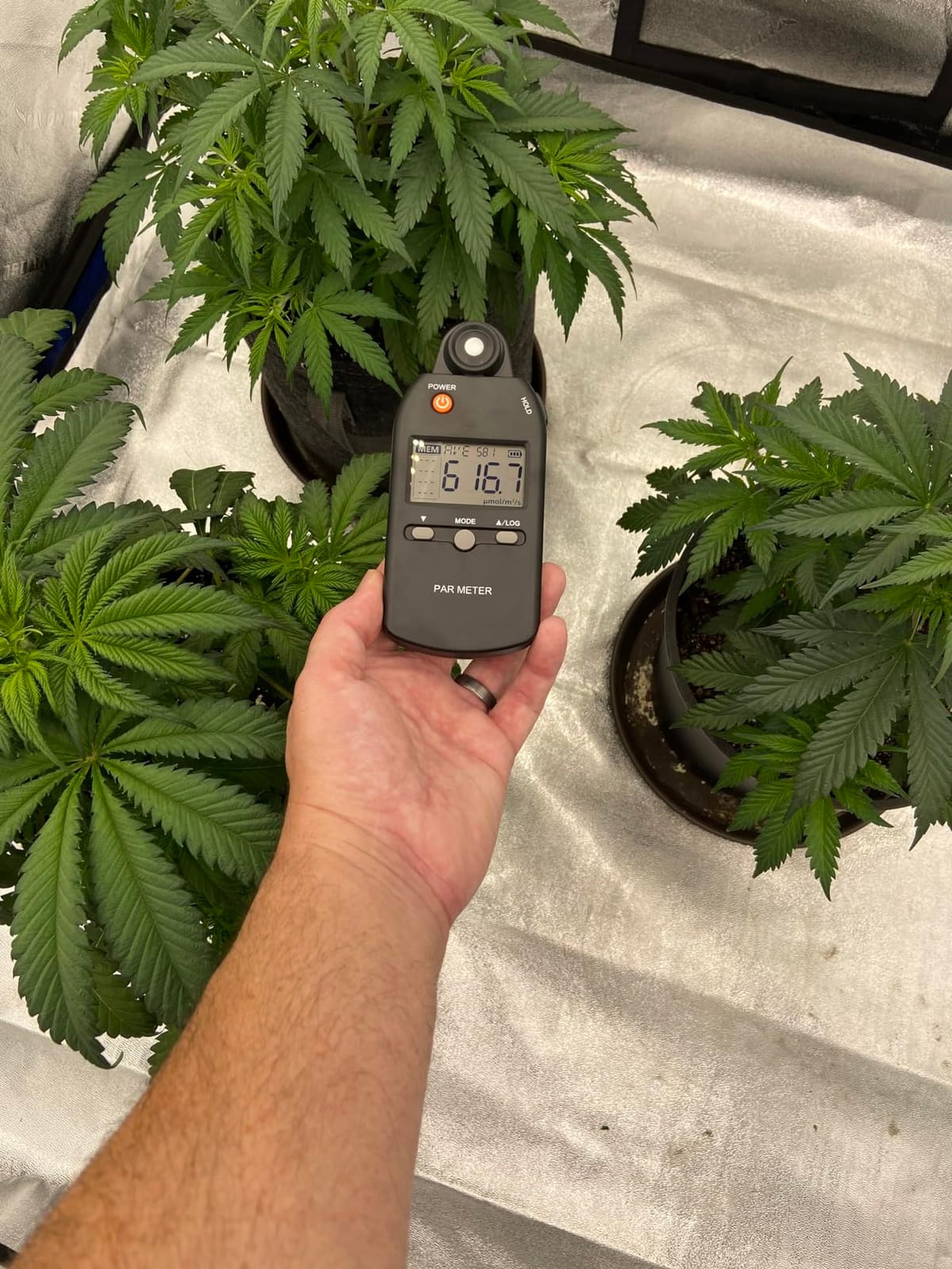 Quantum PAR Meter Full-Spectrum High Precision PPFD Tester for Photosynthetic Activity of Indoor and Outdoor Plants 400-700nm Light Lux Tester customer photo 2