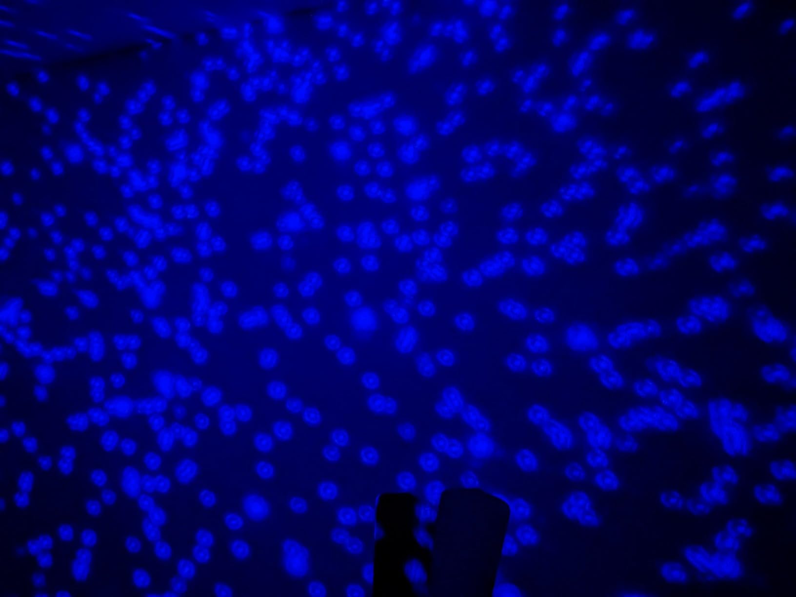 The Thames & Kosmos Planetarium Projector Essential STEM Tool | Illuminate Your Room as a Planetarium Theater | Dual Projector Casts Star Maps & Space-Themed Images from the James Webb Space Telescope customer photo 1