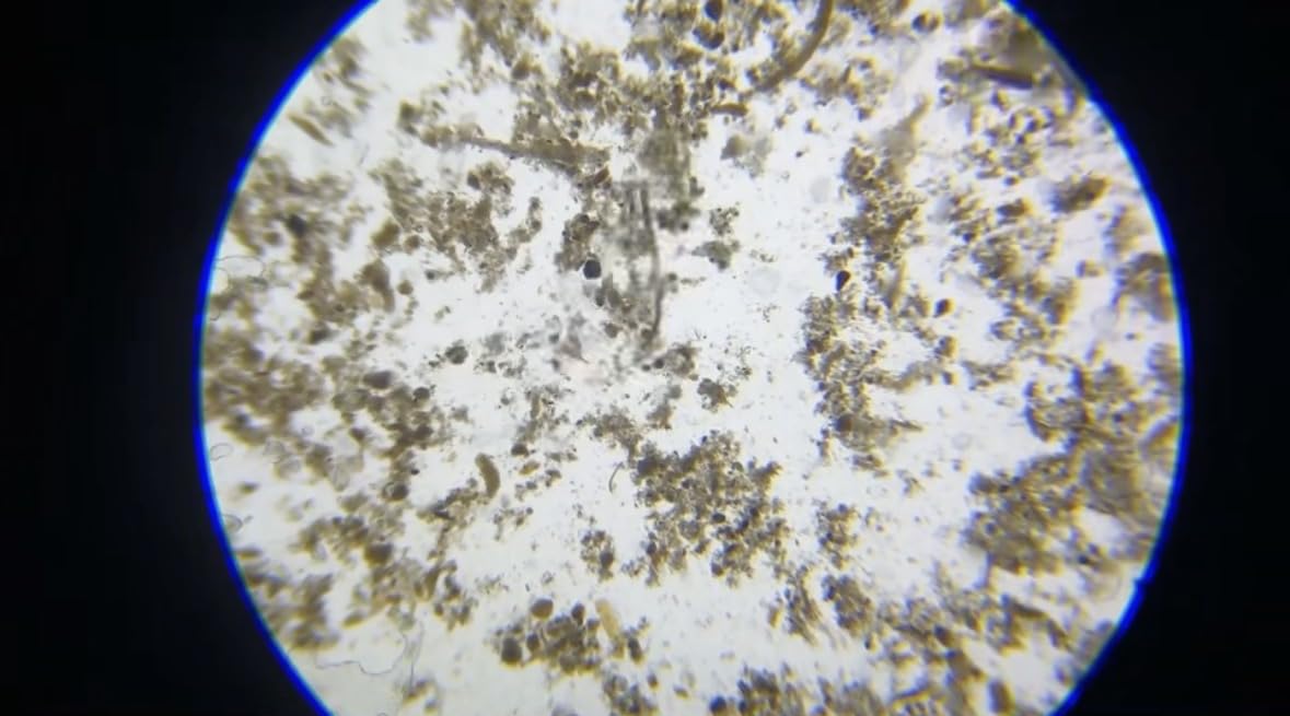 Smartphone Camera Adapter for Microscope Eyepiece Tube 23.2mm - Built-in 16X Microscope Eyepiece customer photo 2