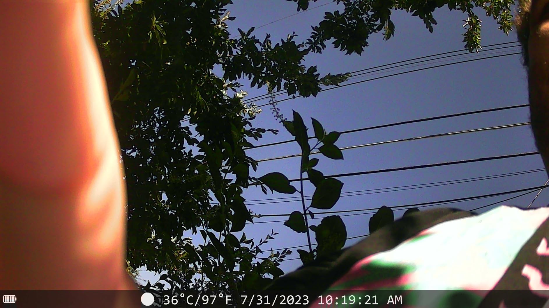 Trail Camera - 4K 48MP Game Camera with Night Vision, 0.05s Trigger Motion Activated Hunting Camera, IP66 Waterproof, 130°Wide-Angle with 46pcs No Glow Infrared Leds for Outdoor Wildlife Monitoring. customer photo 1