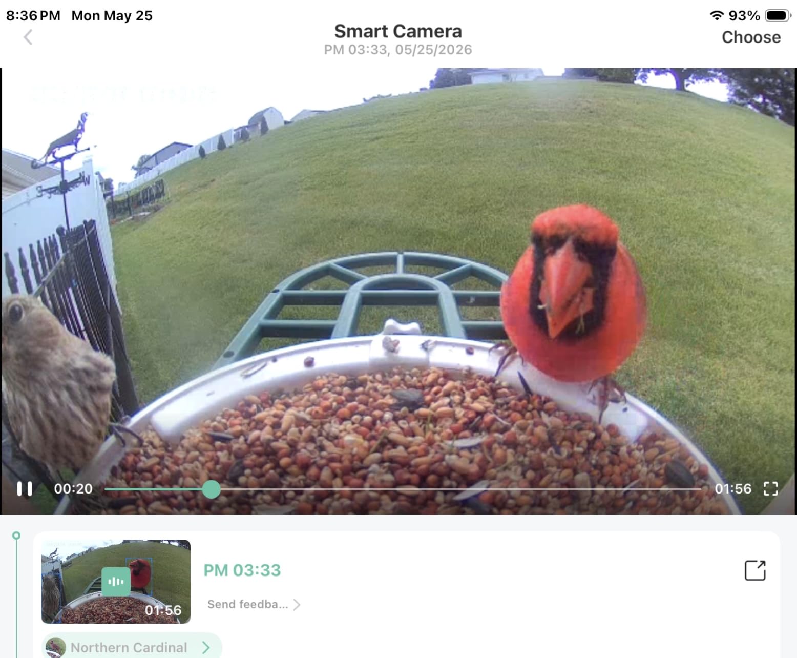 HARYMOR Smart Bird Feeder with Camera - AI Identify Birds Species, Solar Powered Bird House with Cam, 2L Large Capacity, 2K HD Video Live Stream, Instant Arrival Alerts - Green customer photo 2