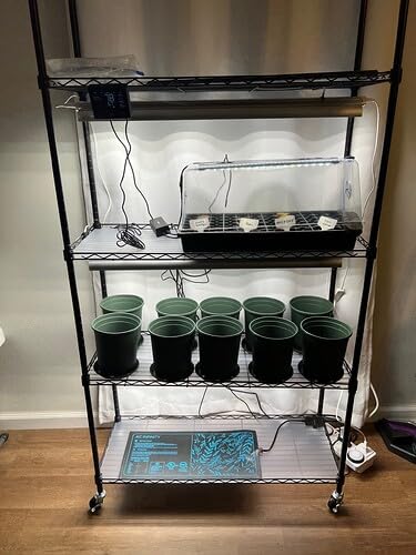 Barrina CX3 Plant Stand with Grow Light, 4-Tier, 108W, 35.4x13.8x70.9IN | 3FT 5000K Full Spectrum Plant Lamps, Indoor DIY Plant Shelf, Flower Pot Display Rack, Greenhouse, Wheel, Mechanical Timer customer photo 1