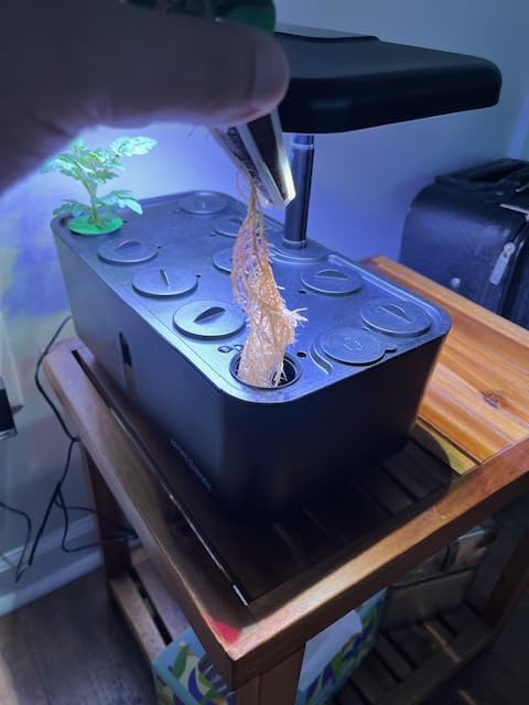 Indoor Garden Hydroponics Growing System: 10 Pods Kit with LED Plant Germination Kit Herb Vegetable Growth Lamp Countertop, Hydroponic Planter Grower Harvest Lettuce for Beginner Gardeners customer photo 1