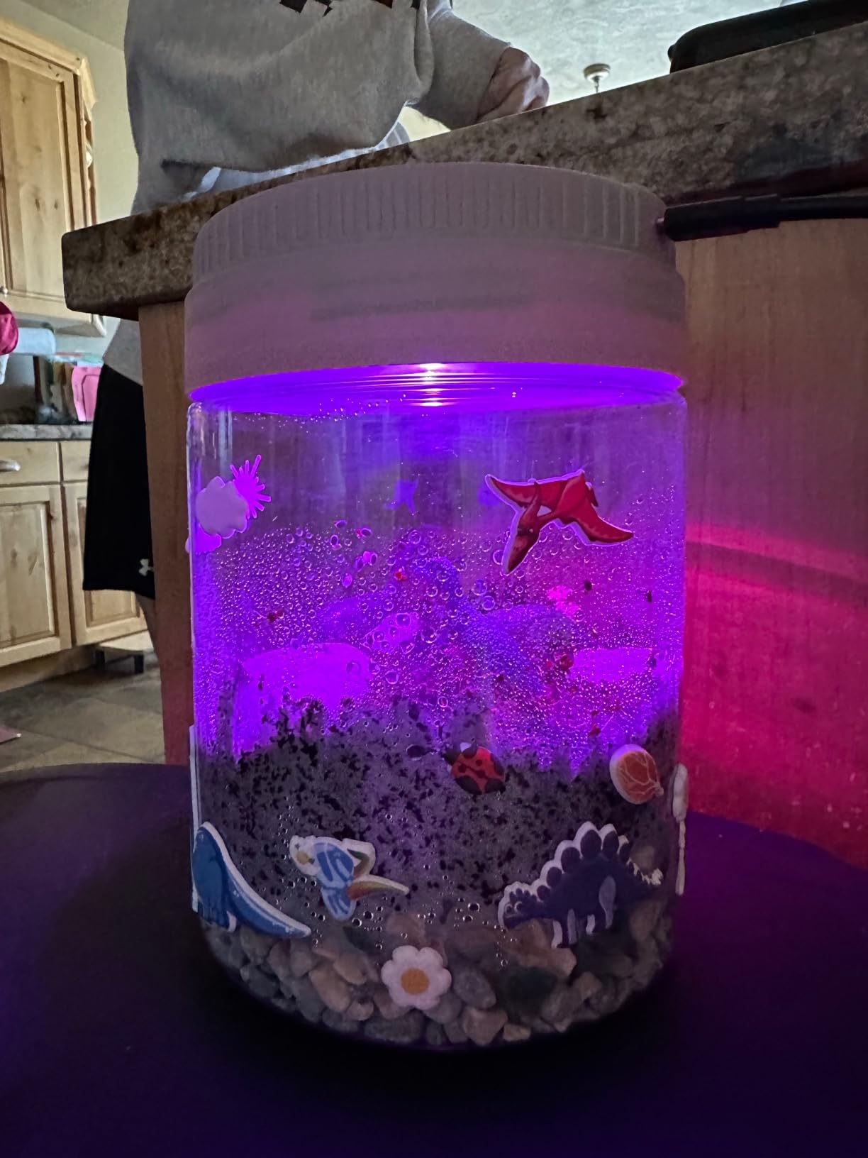 National Geographic Light-Up Dinosaur Terrarium Science Kit for Kids | Multicolor Light, Real Plants, Dinosaur Habitat, Real Gemstones, DIY Nature Activity, Science Learning Toy, Birthday Gift customer photo 1