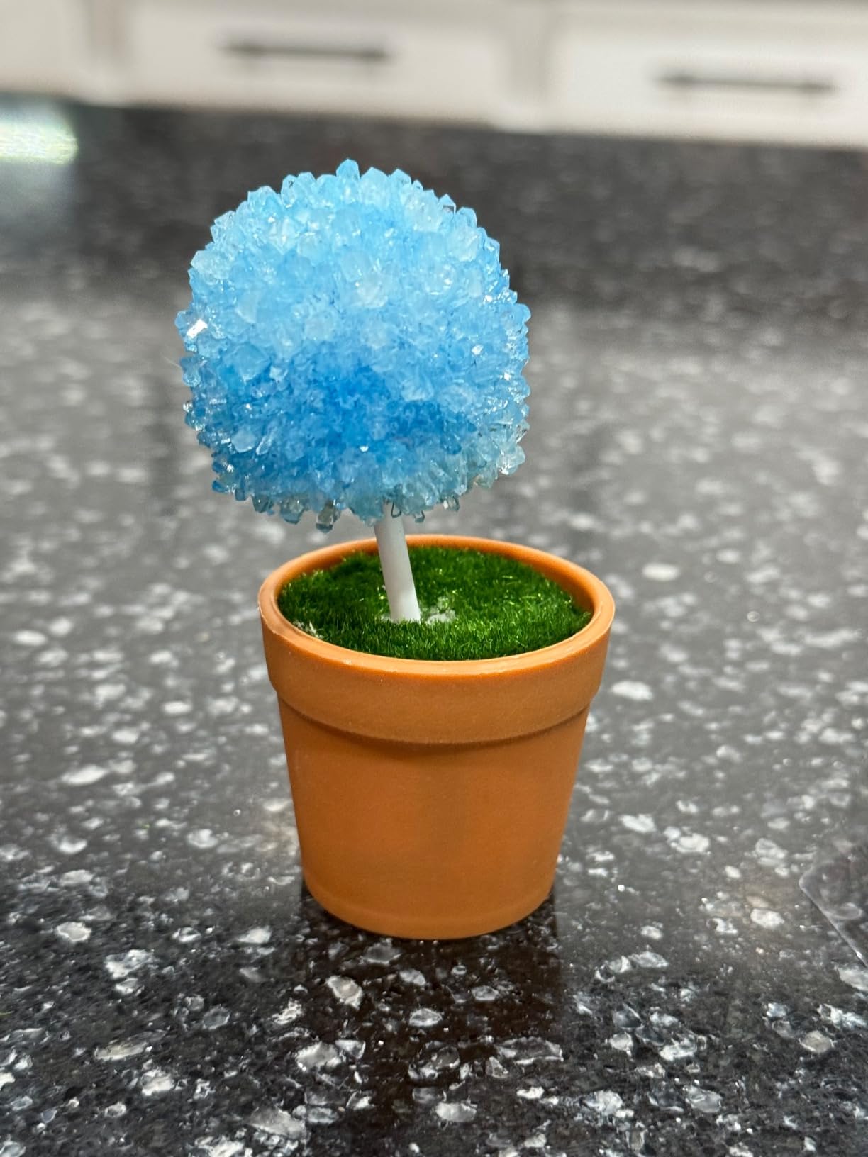 UNGLINGA Crystal Growing Experiment Science Kits for Kids | S.T.E.M Projects Learning Educational Toys Gifts Idea for Boys Girls customer photo 2