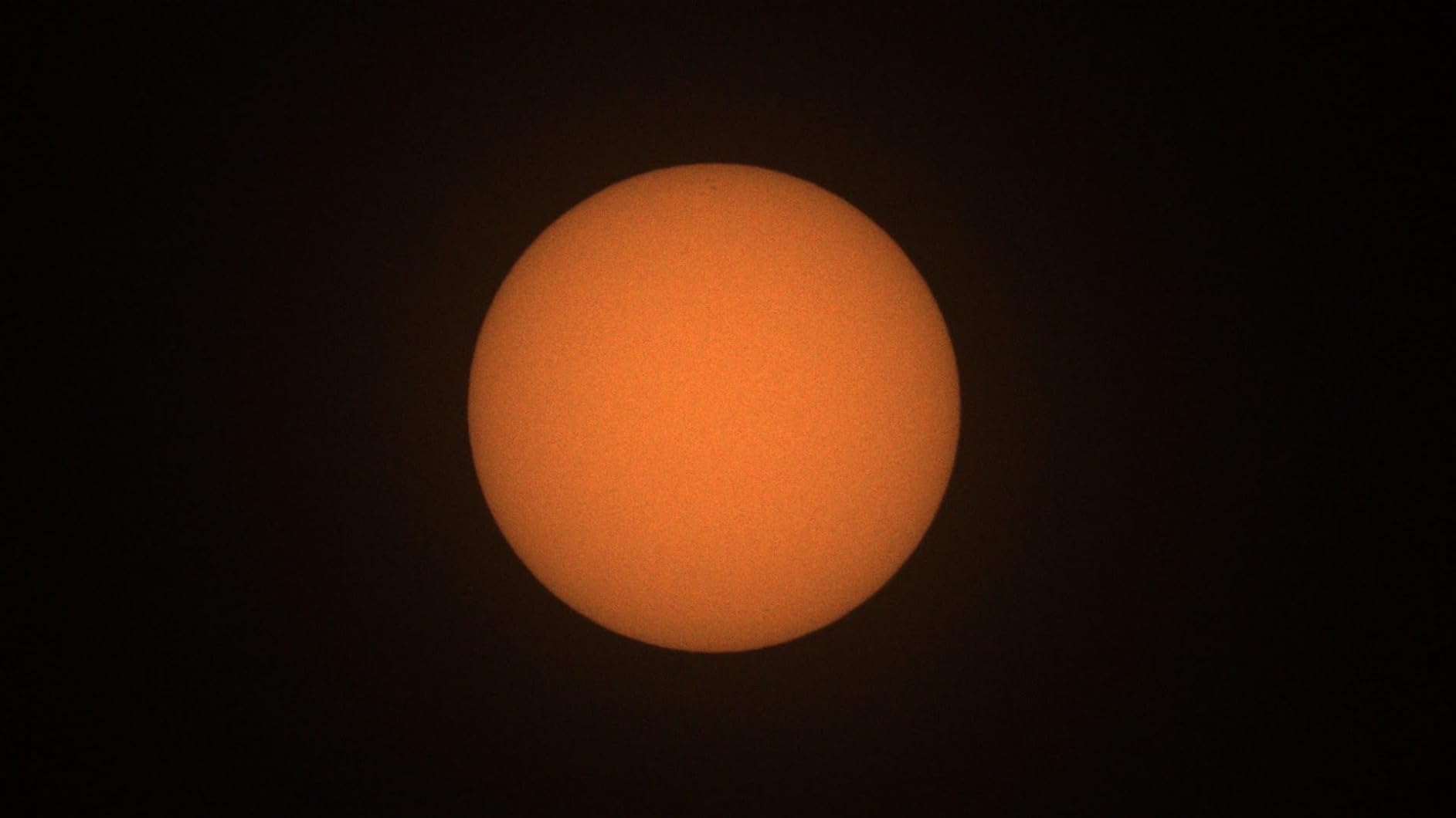 Celestron EclipSmart Universal Solar Filter for Telescopes | ISO 12312-2 Compliant, Fits 75-100mm Telescope Tubes, Safe White-Light Viewing customer photo 1